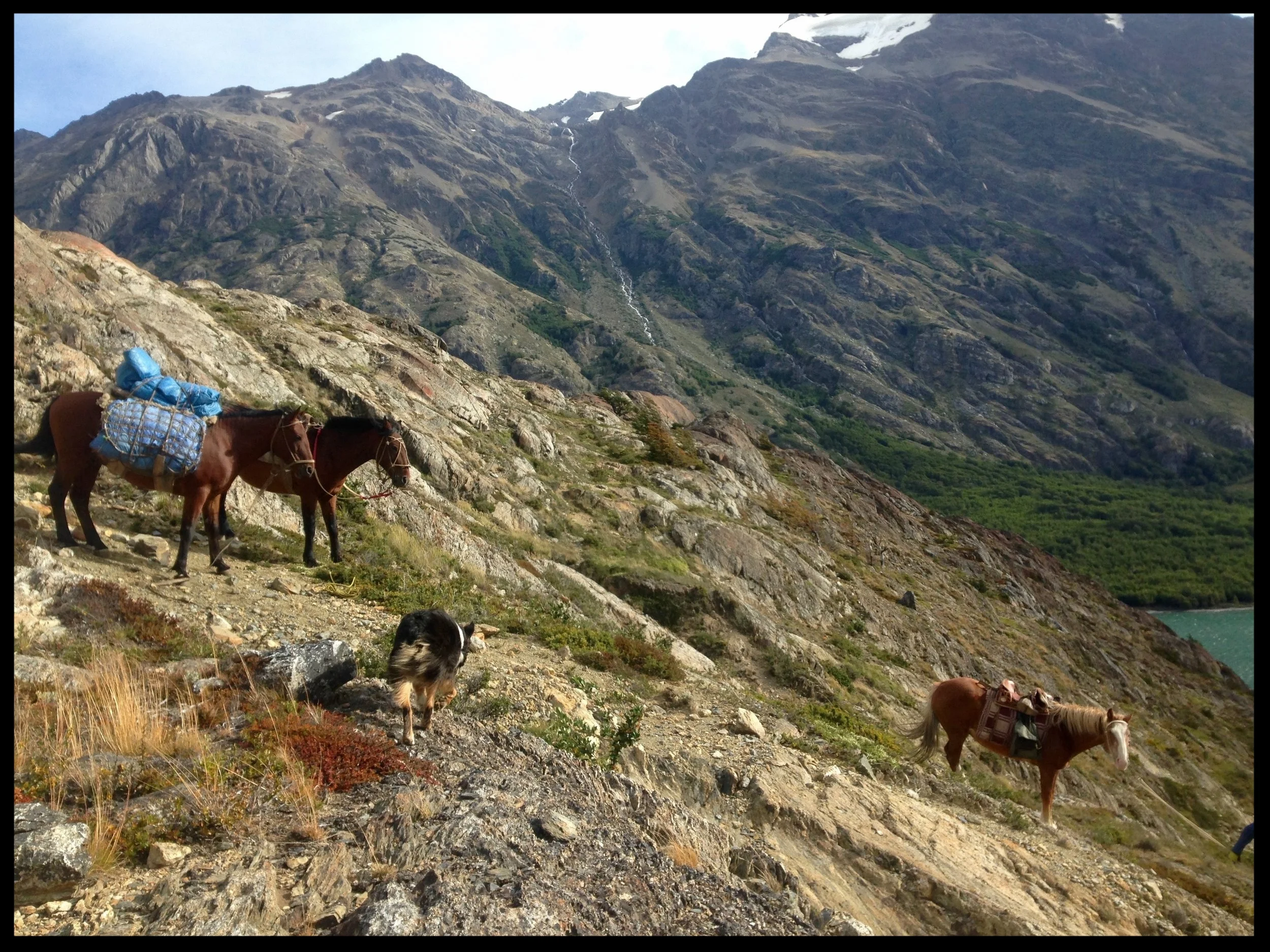 Ma our way through the wilderness, deep in the belly of Patagonia