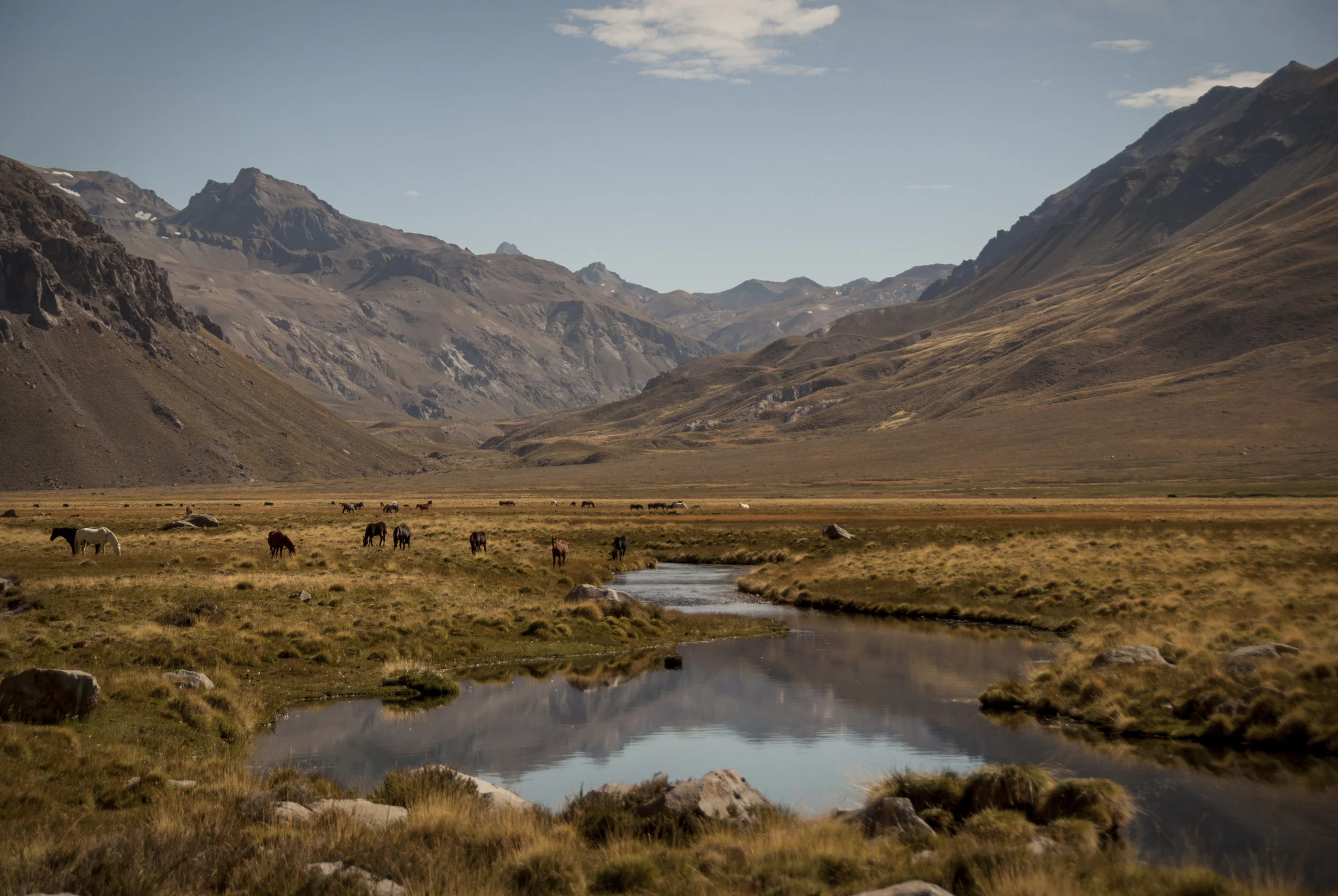 paisaje laguna Gonzalez.jpg