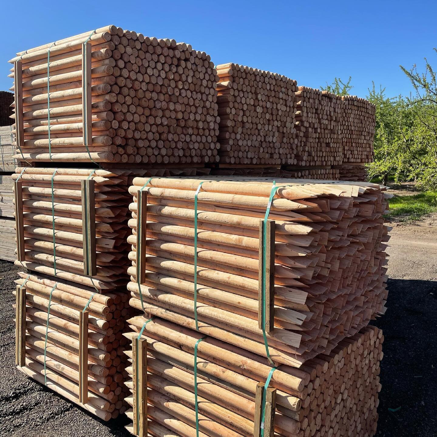Winds are picking up again! Some of our customers use a beefy stake (2 1/4 x 4) for their almonds due to their location and how much wind they get. If you have needs we have options! #almondstakes #growers #cagrowers #caag #aandgagsupply #stakes