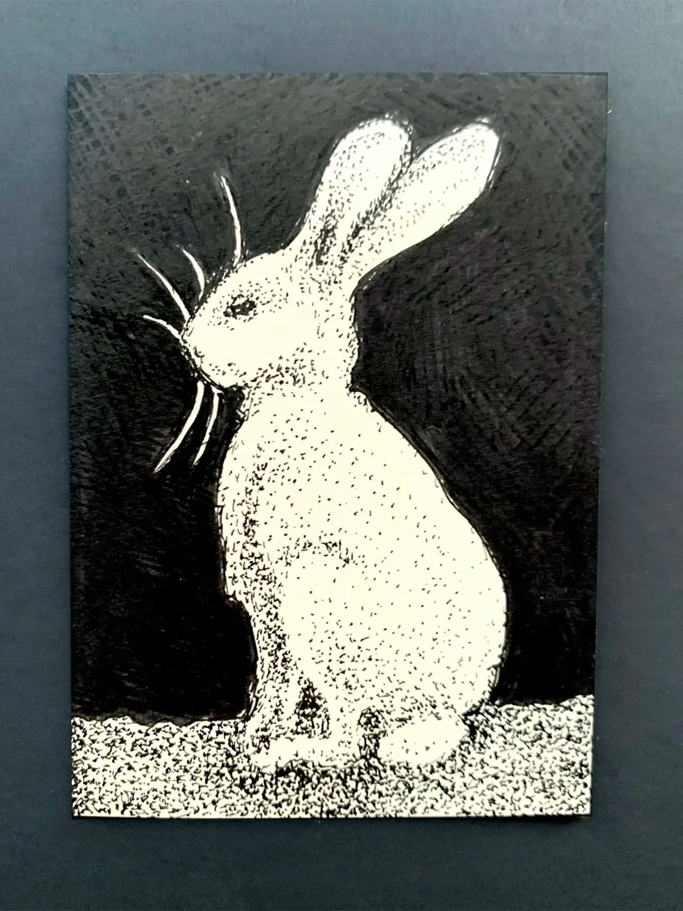 aceo+art+card+white+rabbit+4x3.jpg