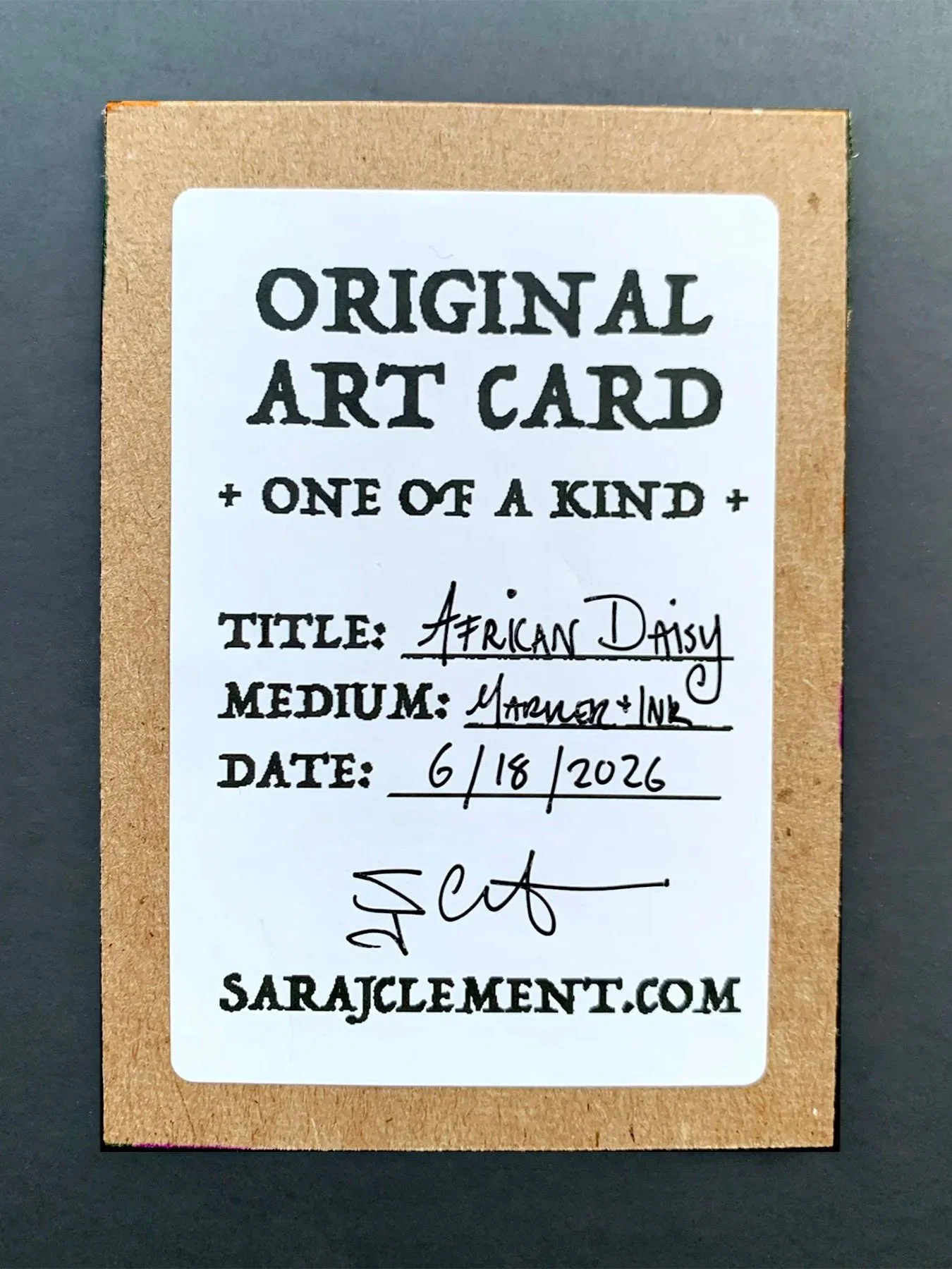 aceo+art+card+africa+daisy+4x3+BACK.jpg