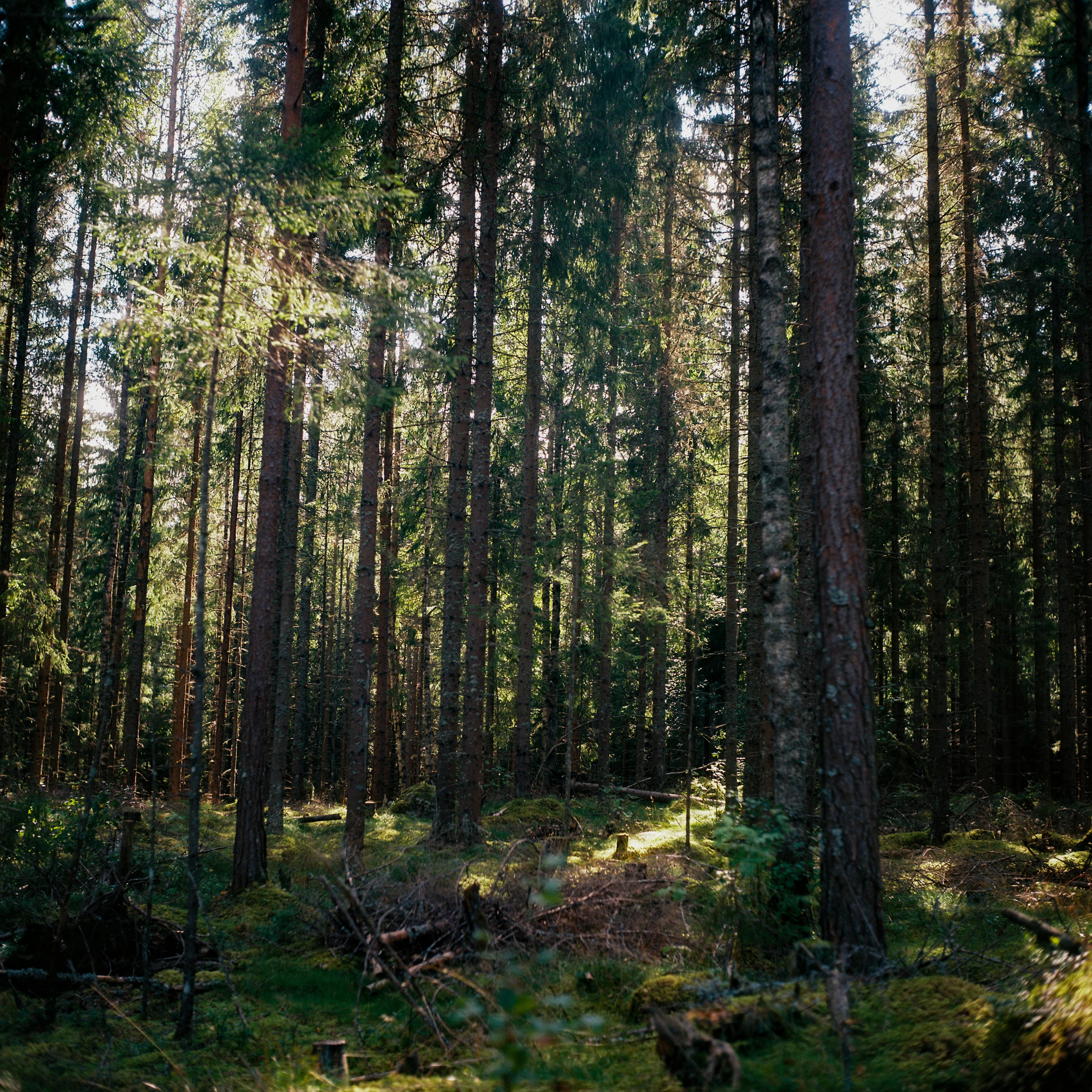 Östra Örten | Sweden