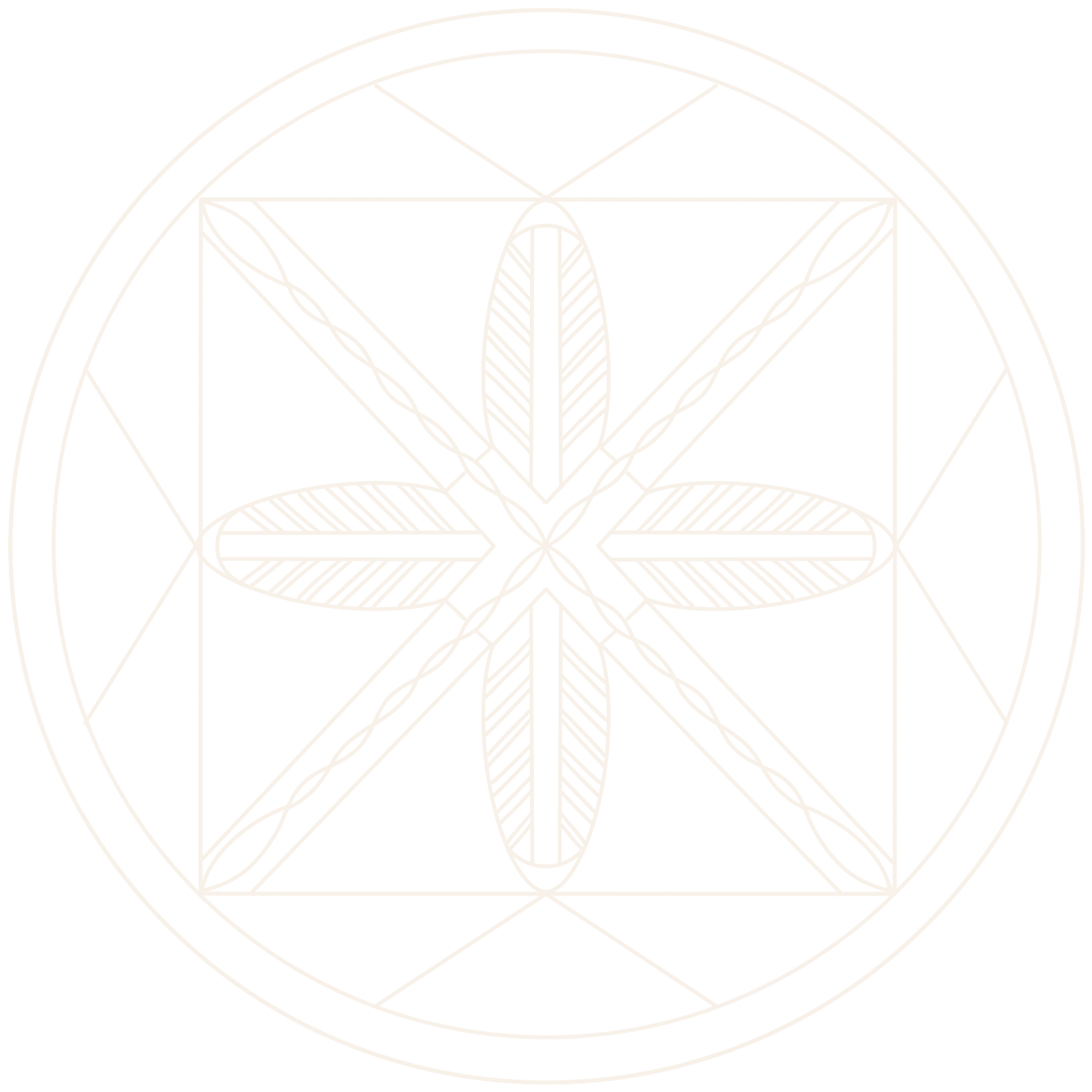 spin