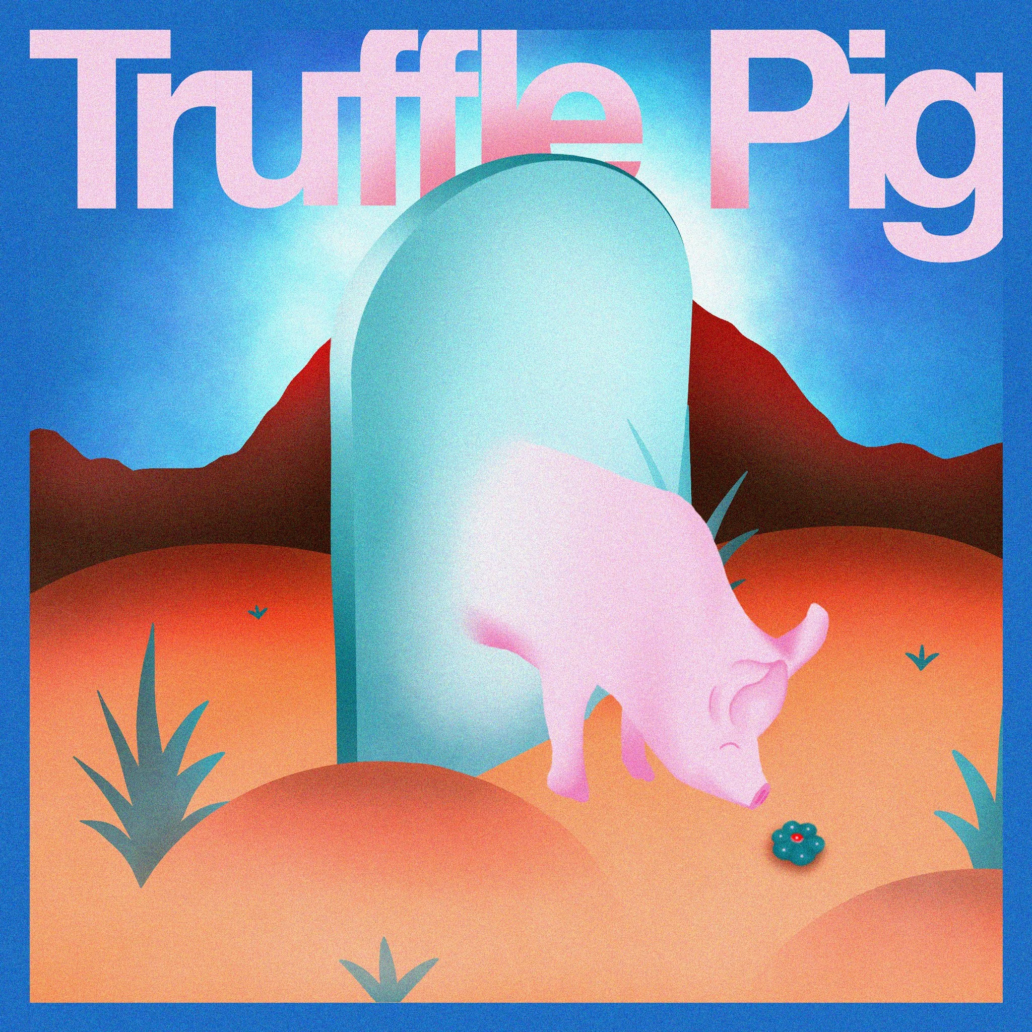 Truffle Pig Preorder