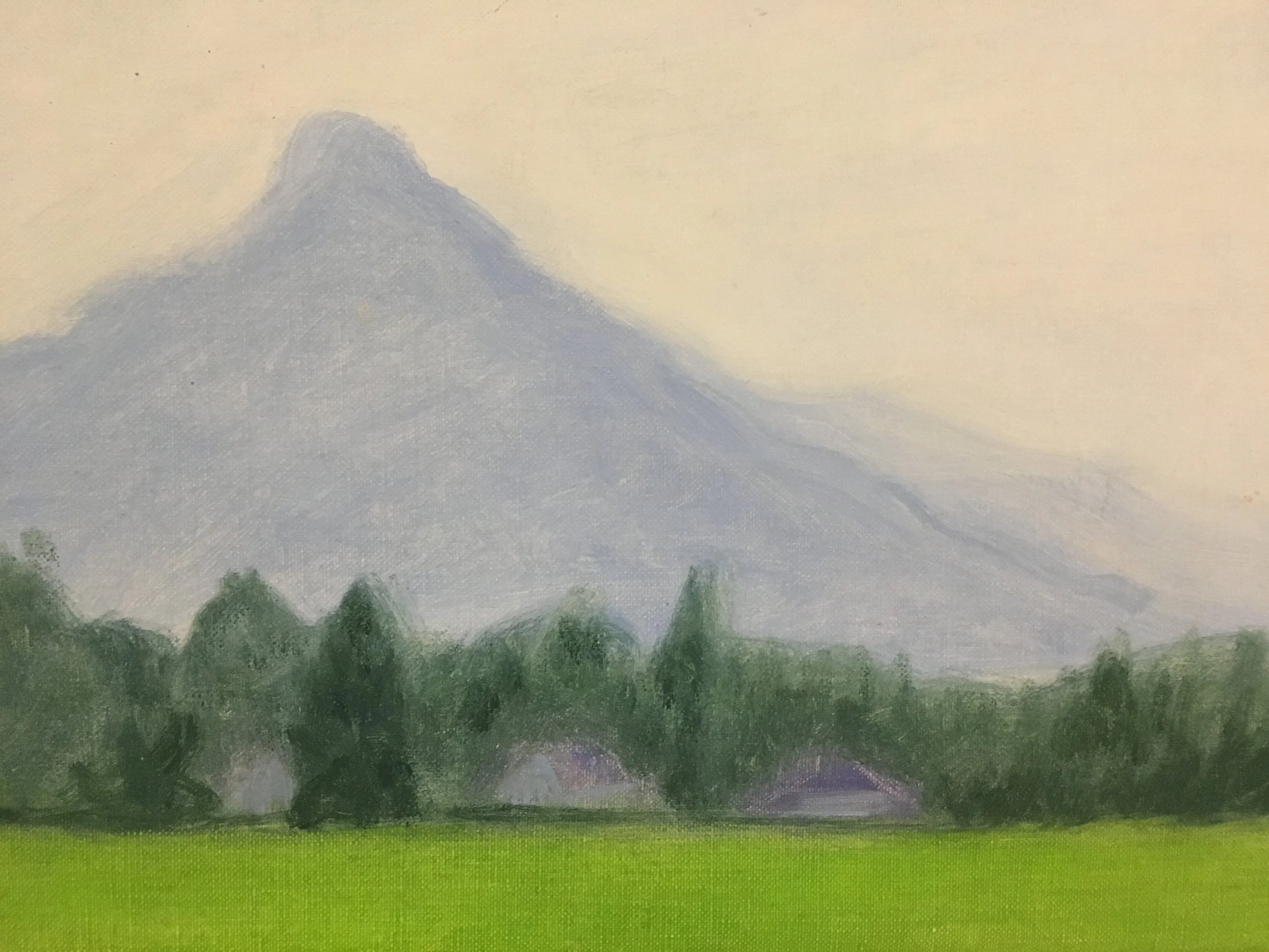  Salzburg, Austria, oil on canvas 