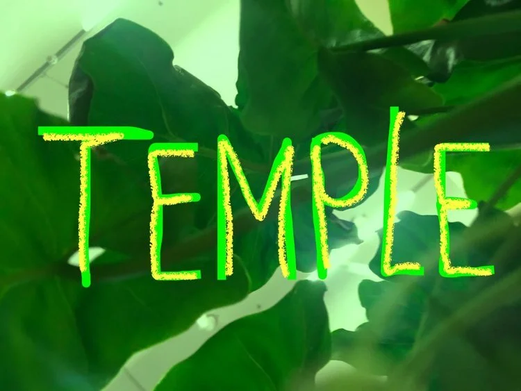 RAW Friday Artist Takeover: "Temple"