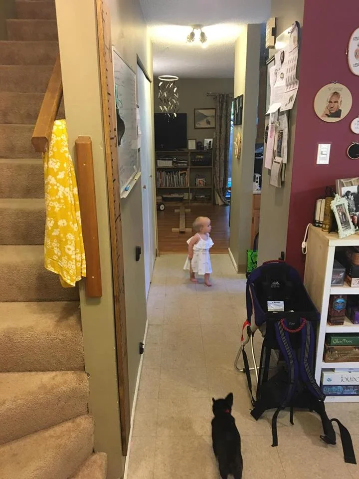 This is my view from the front door. Straight hallway (dining room has the board game shelf), tiny galley kitchen in the middle, and then living area in the back. Stairs up to the bedrooms and the one bathroom. (Yes, that is a tiny dog, and yes, the only space I have to store our hiking carrier is my hallway.) We're working on a hook and basket set up for Noora's shoes and coat under the whiteboard, but as you can see, we have a small space to work with.