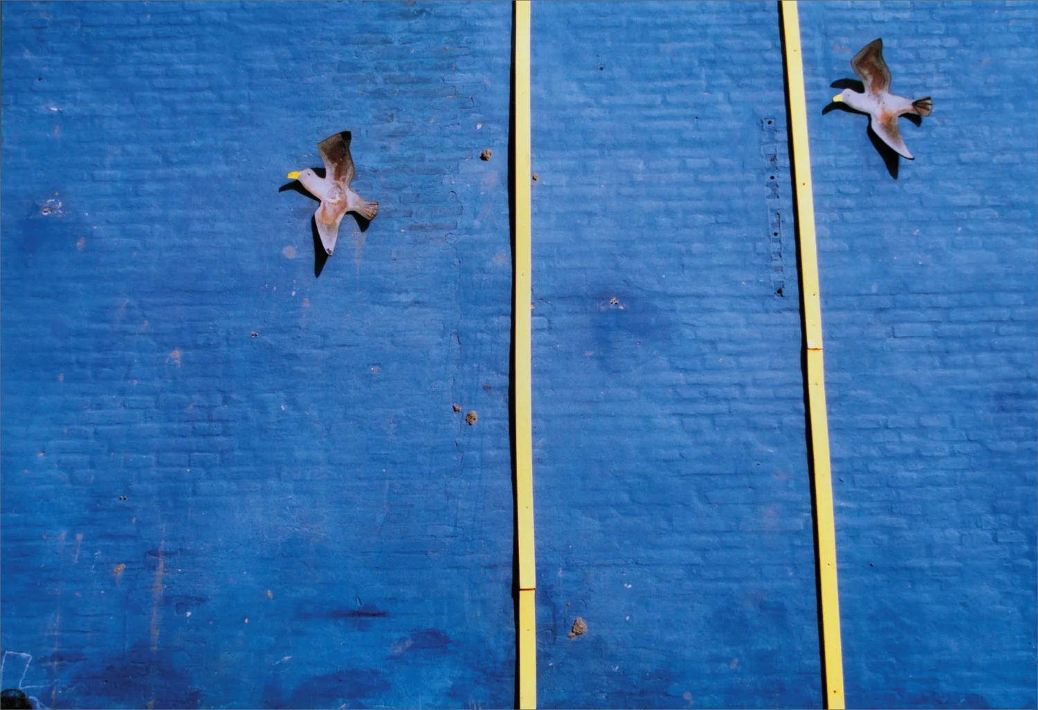 thebirds2.jpg