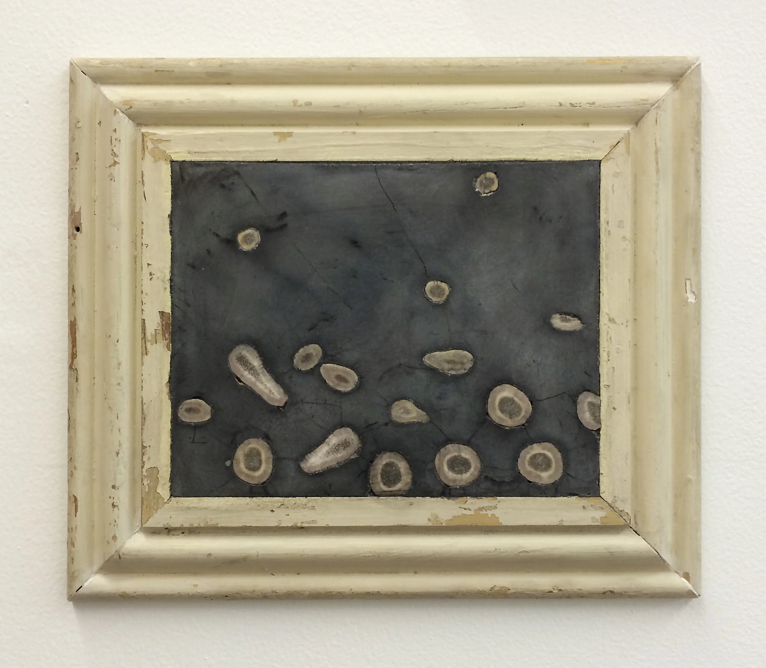 Untitled (Deer Antler)