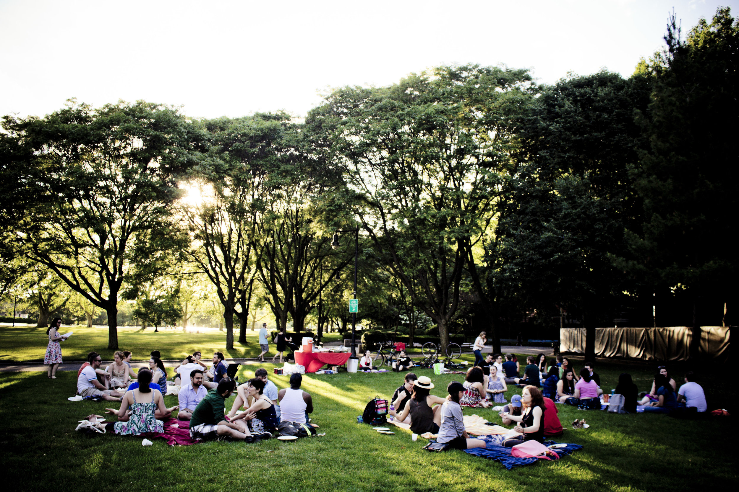  People talking on picnic blankets 