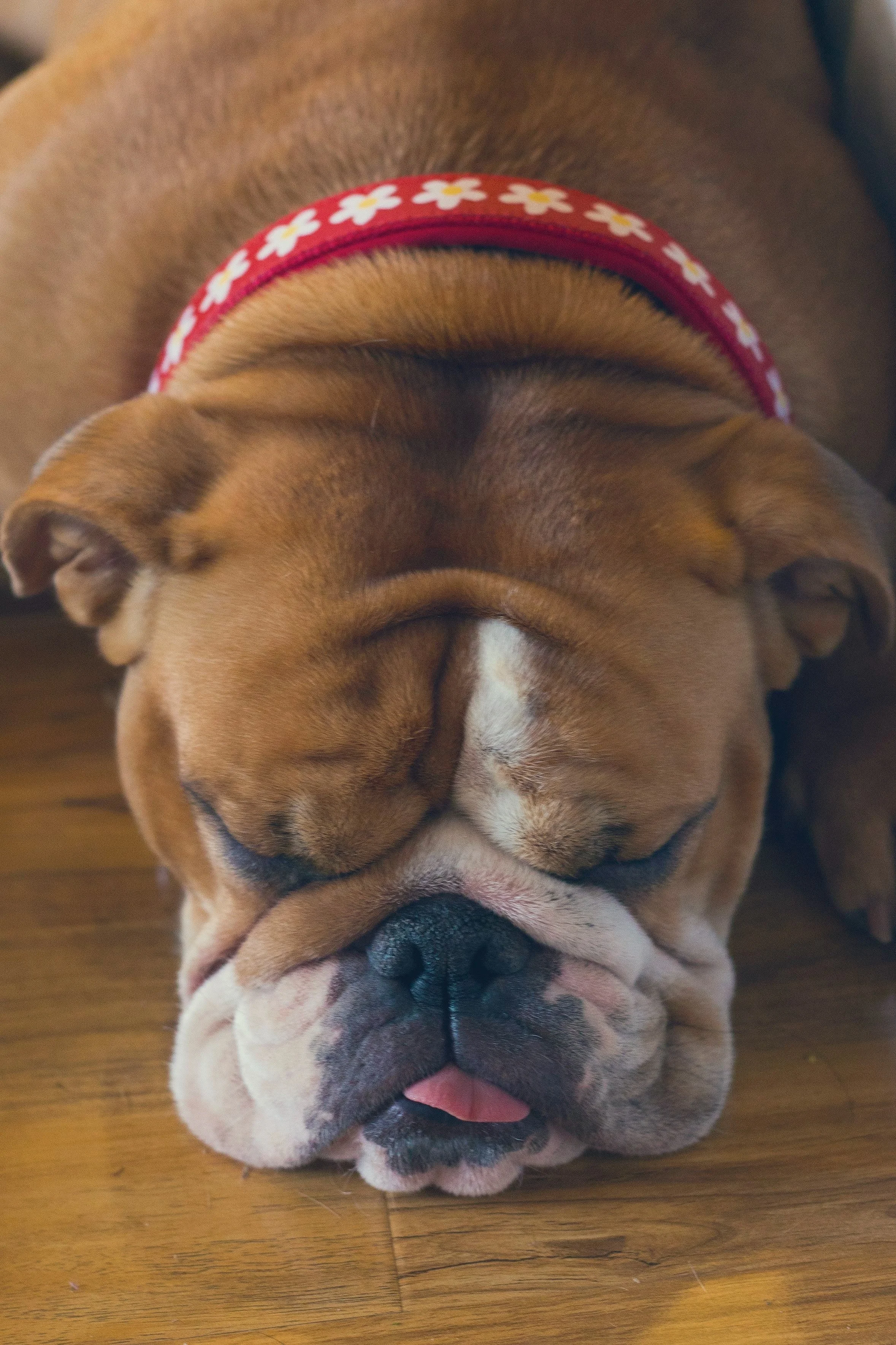 What is burnout?