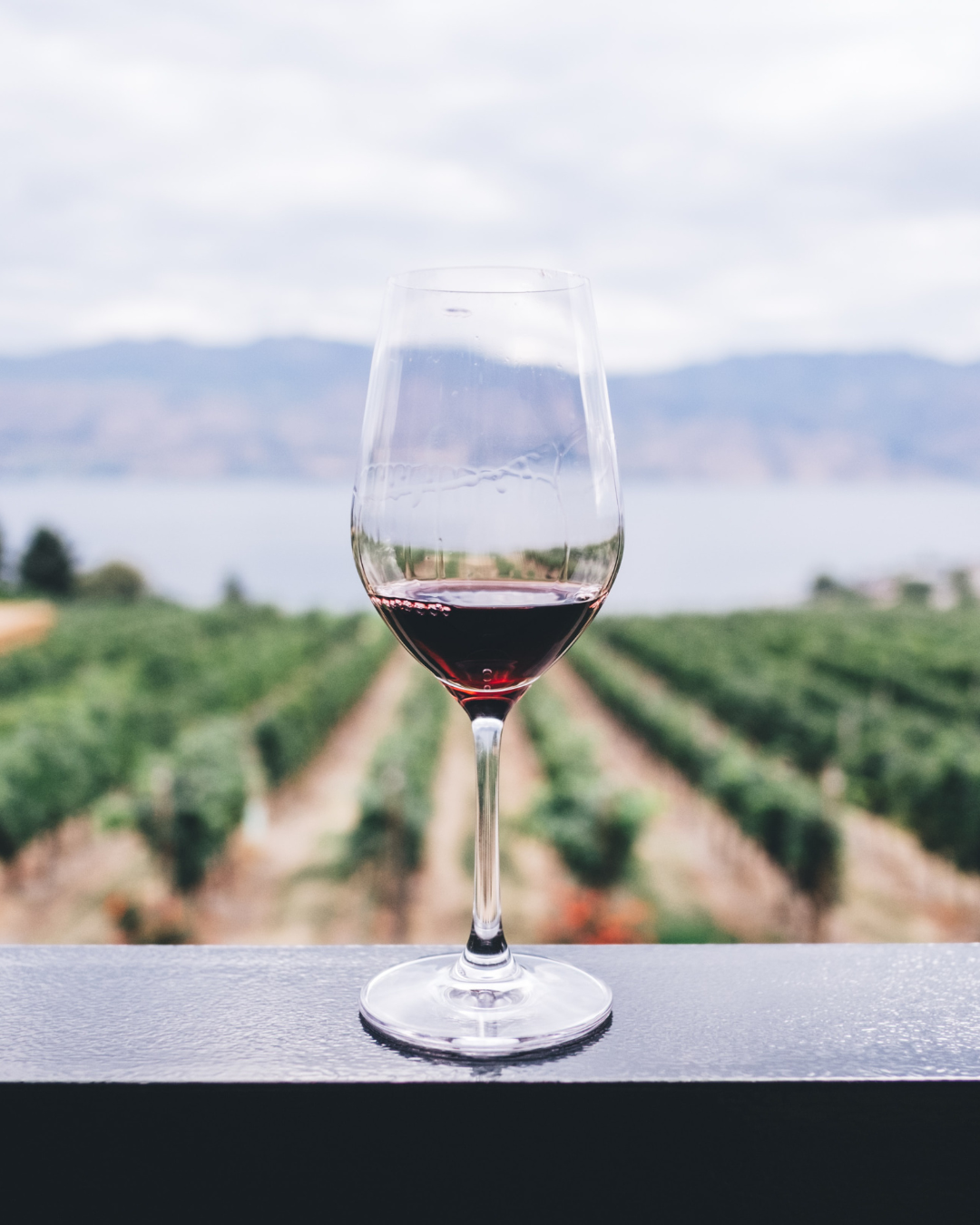 The Best Vineyards In Driving Distance of NYC