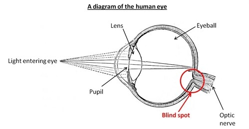 Eyes are tricky things which see many things but arenot without flaws. They need our help to see.