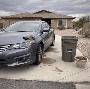 two used cars parked side by side in driveway