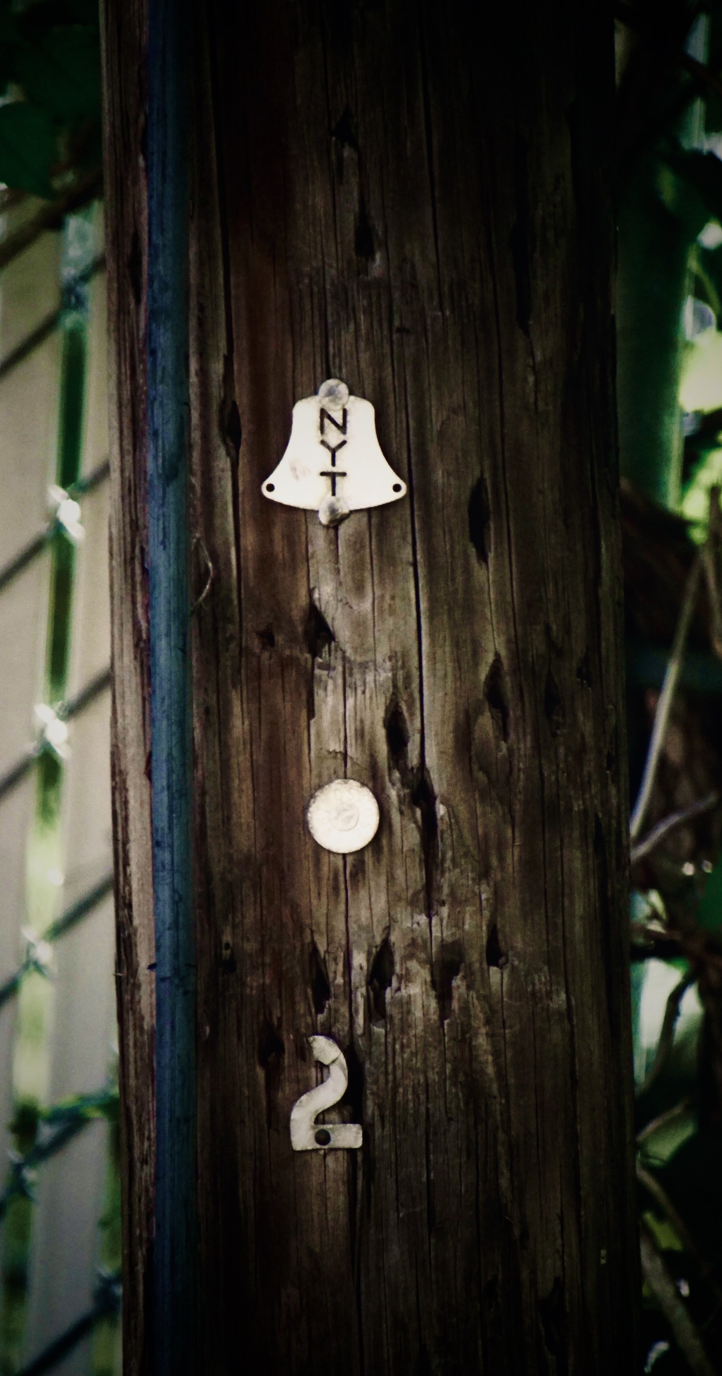 Backyard NYT Pole-2.jpeg