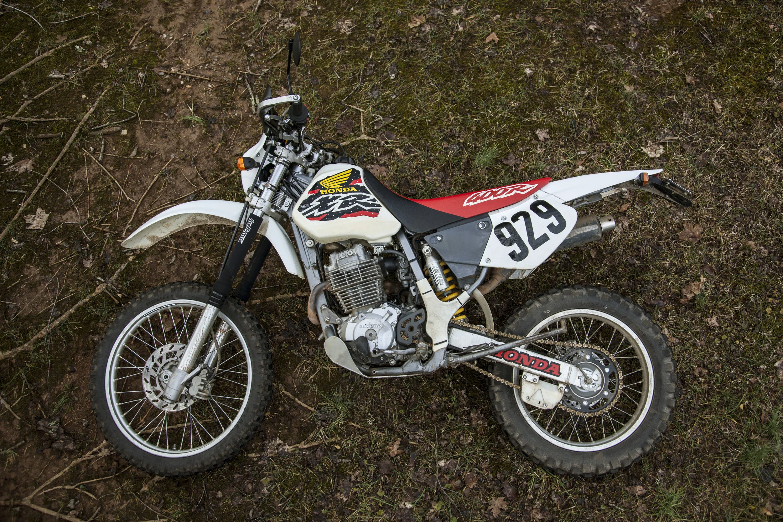 This Damn Bike