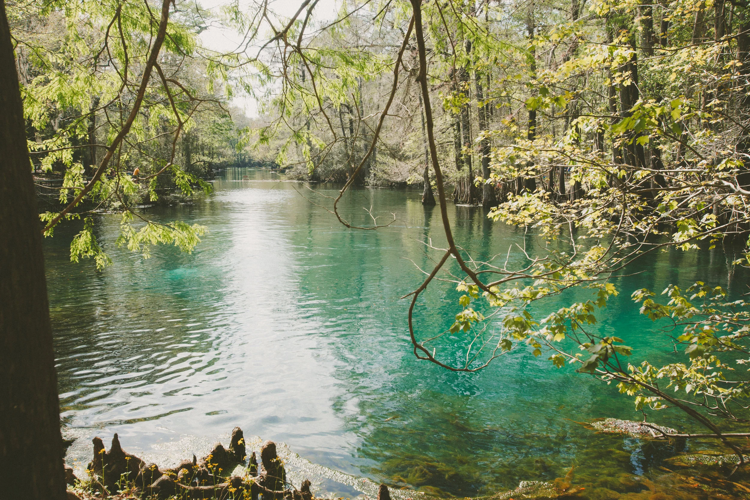 The Gorgeous Gulf