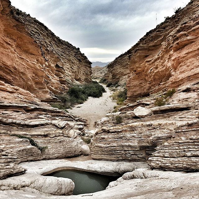 Spent the morning walking through old stone foundations, looking at the glass and tin left behind from more than 100 years ago. This afternoon, headed up through Ernst Tinaja. Pure wild. #bigbendnationalpark #hike #nps #bowmanodyssey