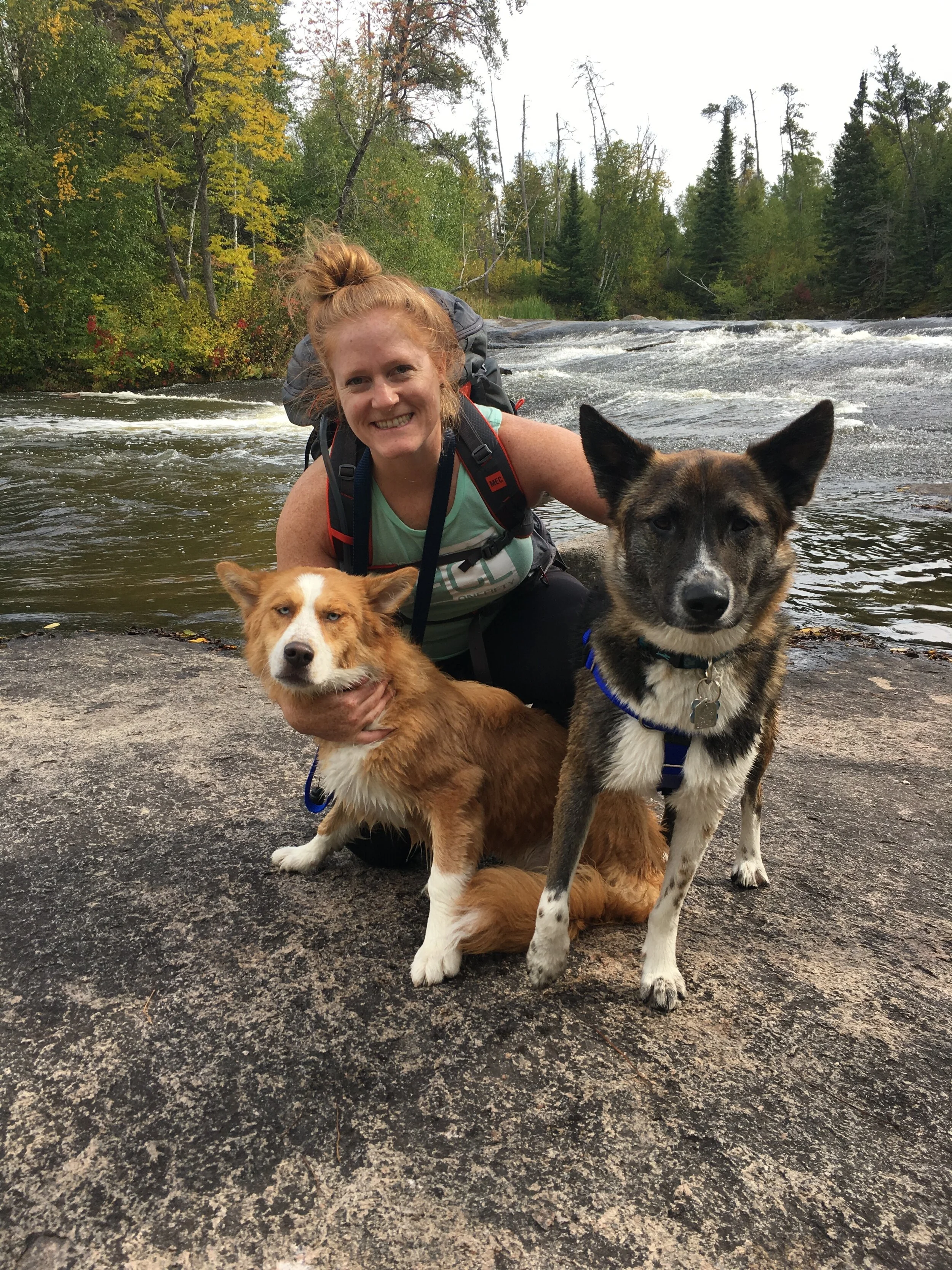 Dog Adventures (Copy)