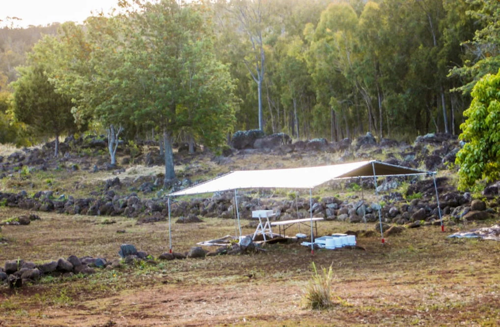 Excavation site at Test Pits 1 and 2 at the enclosure