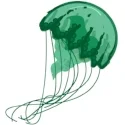 jelly_plain.jpg