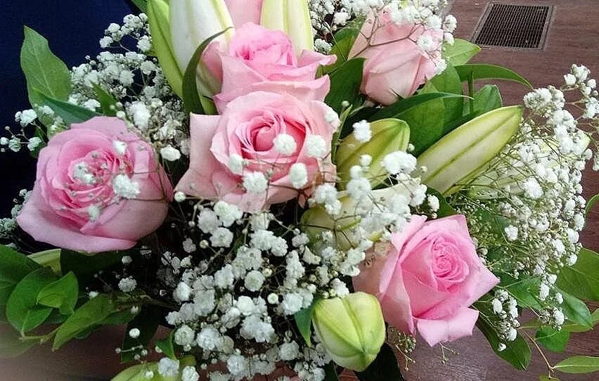 Pink+Beauty.jpg