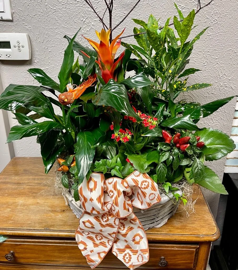 WhatsApp Image 2021-09-29 at 12.29.32 PM (7).jpeg