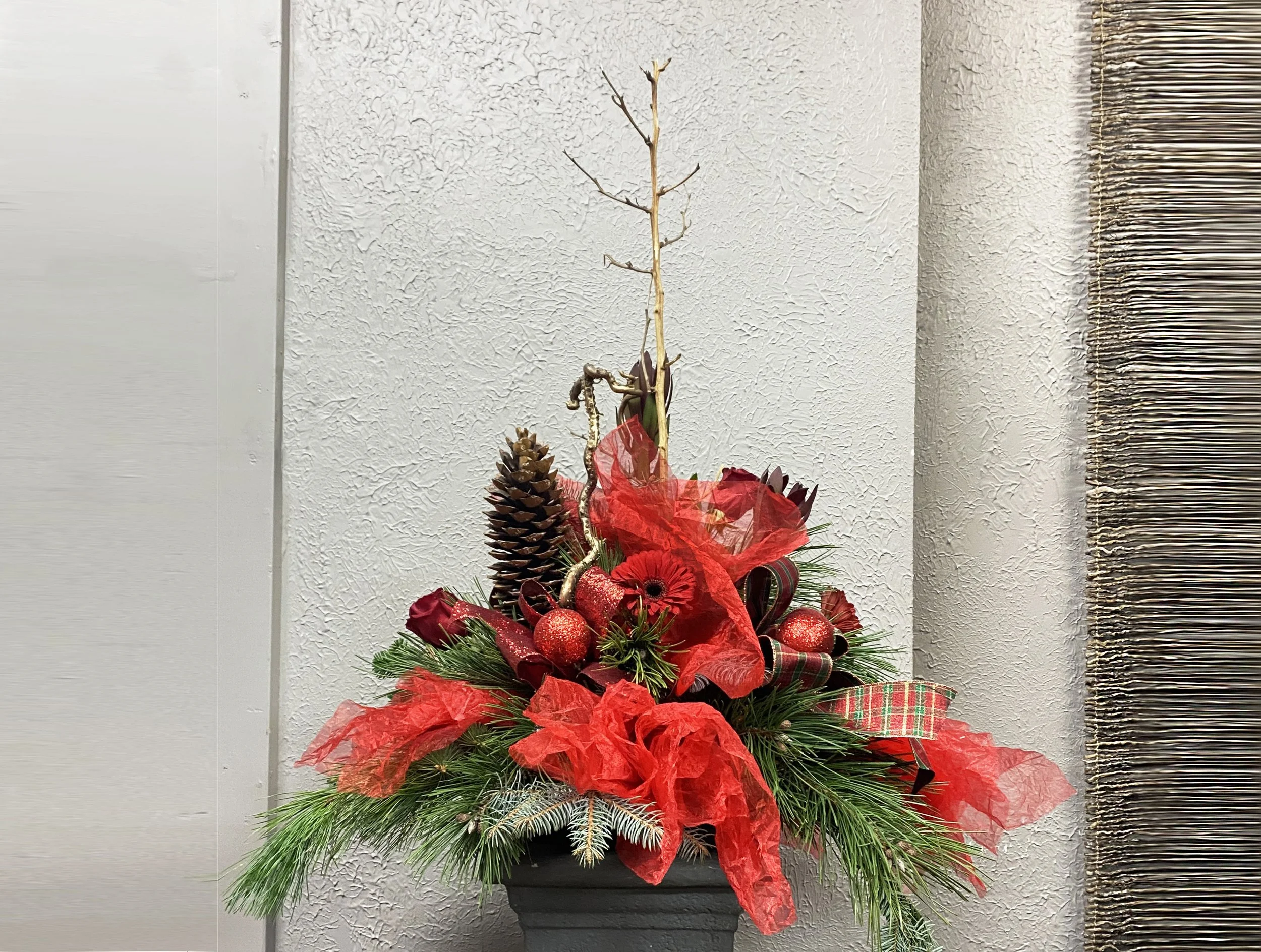 269d JOYFUL CHRISTMAS.jpg