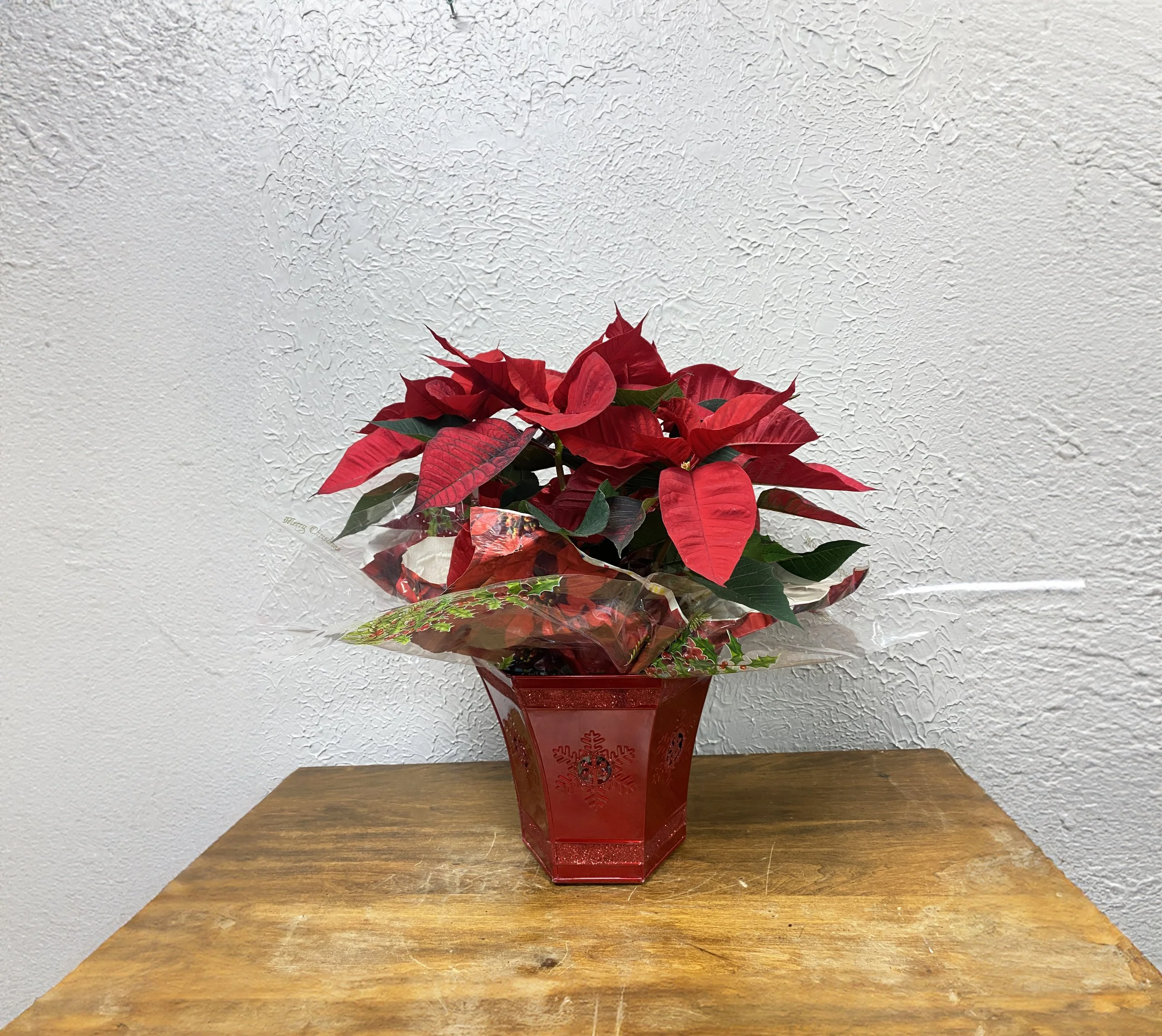 Red Poinsettia decorated