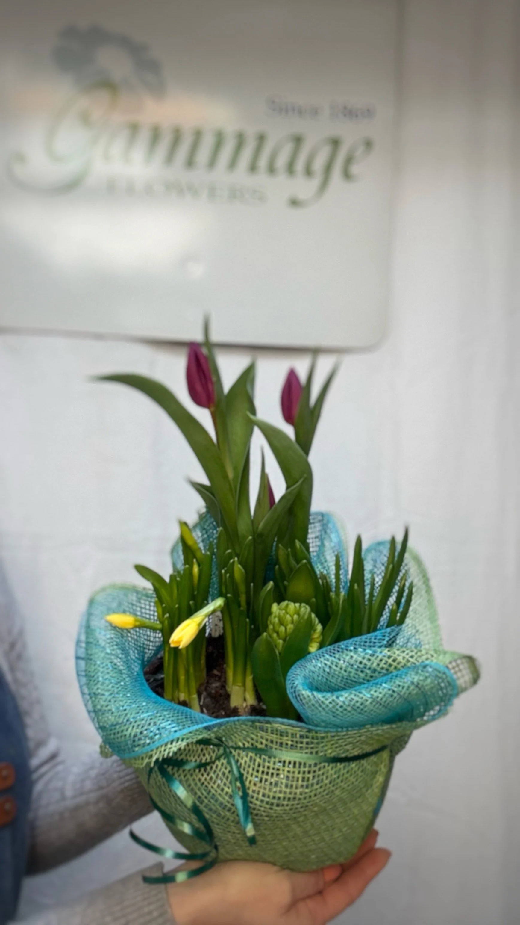 Gammage Exclusive Spring Blooms