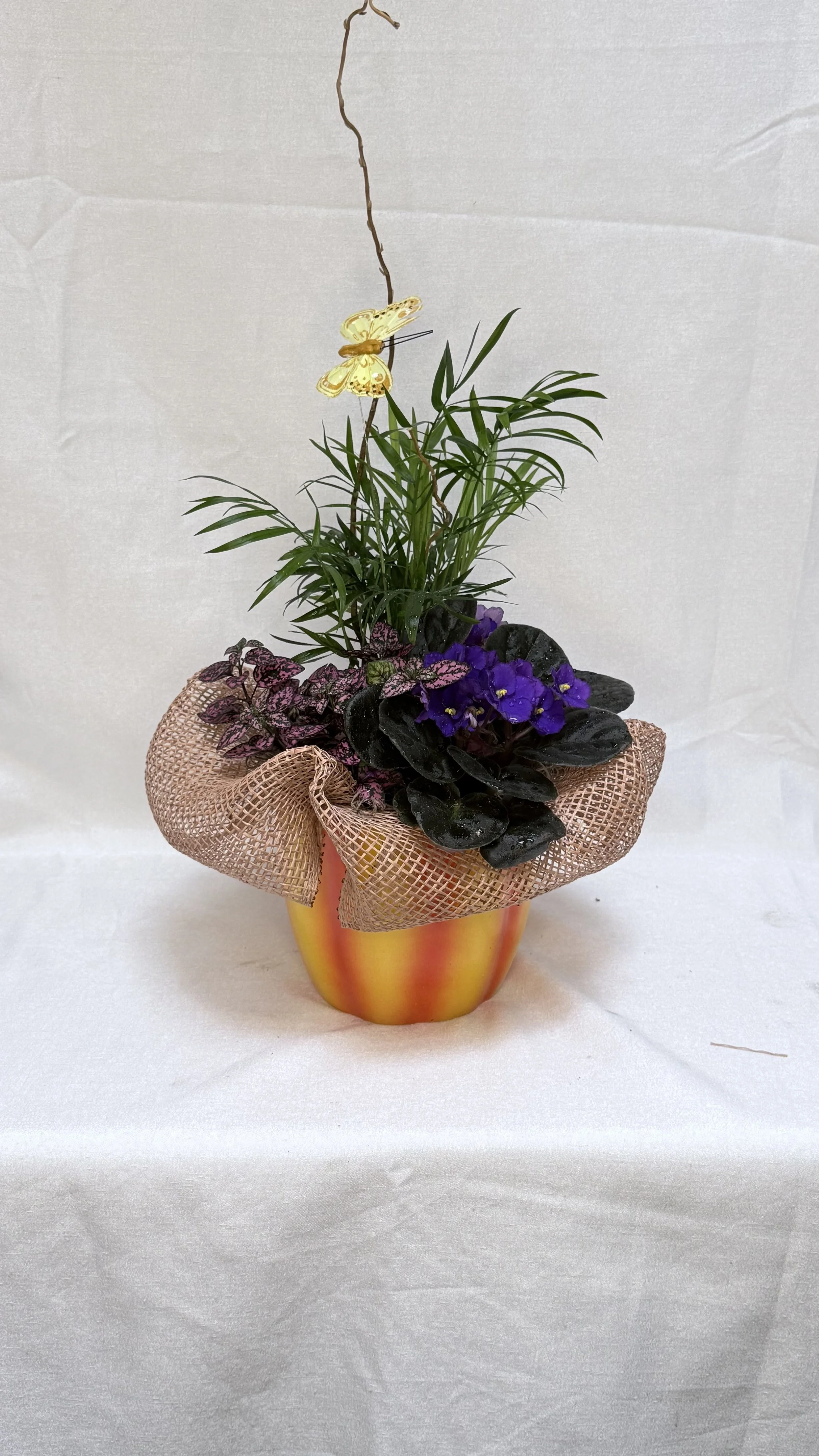 Autumn Medley Garden