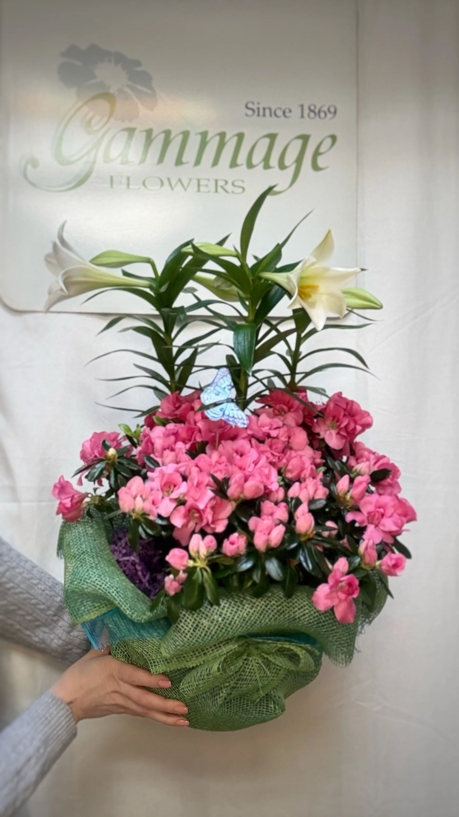 Gammage Exclusive Easter Planter