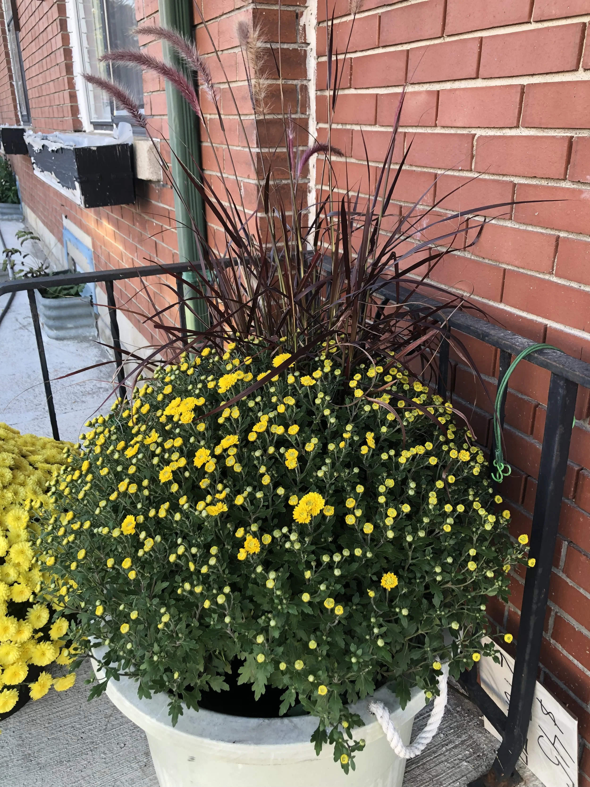 Prairie Harvest Planter
