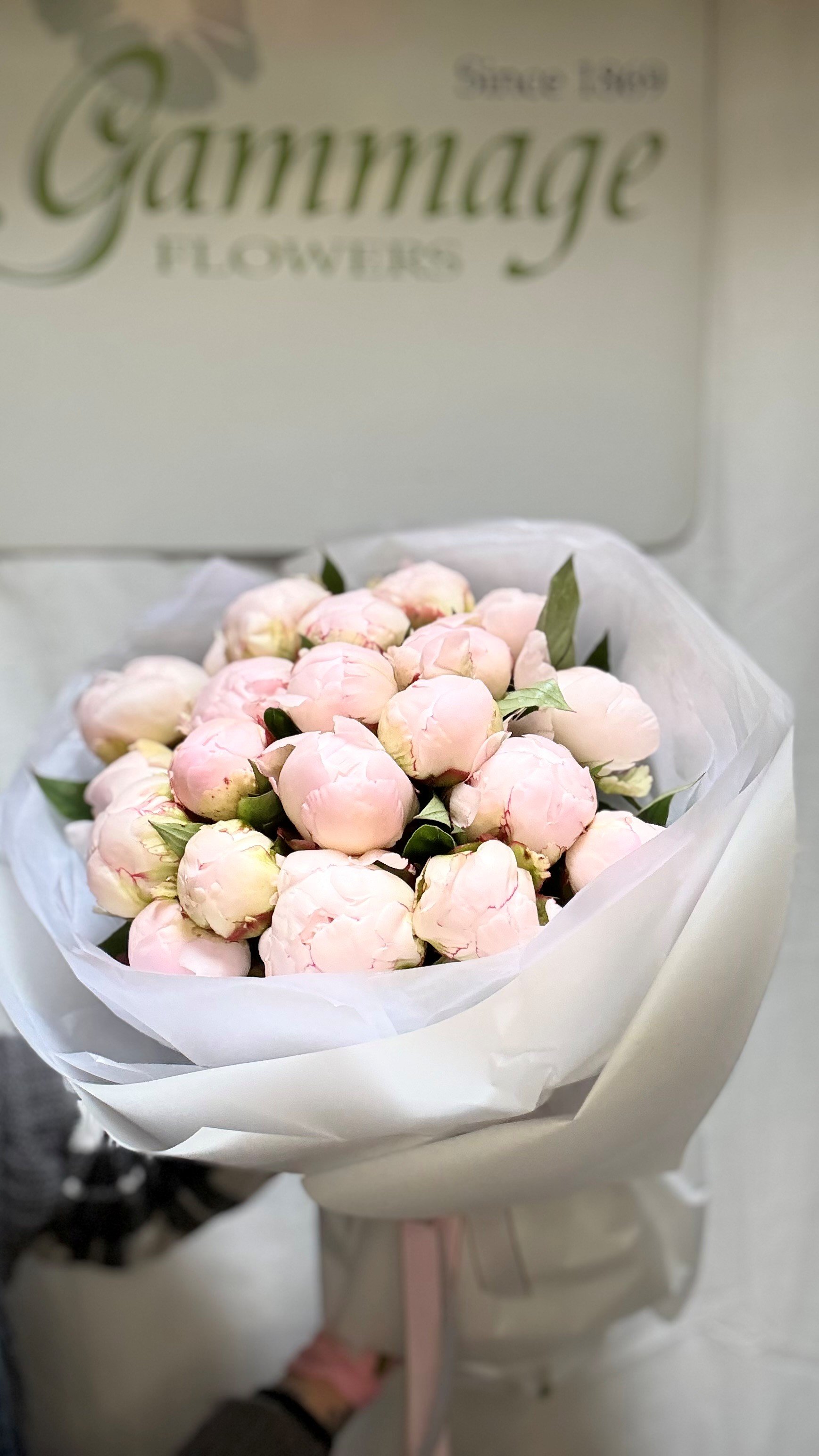 peonies.jpg