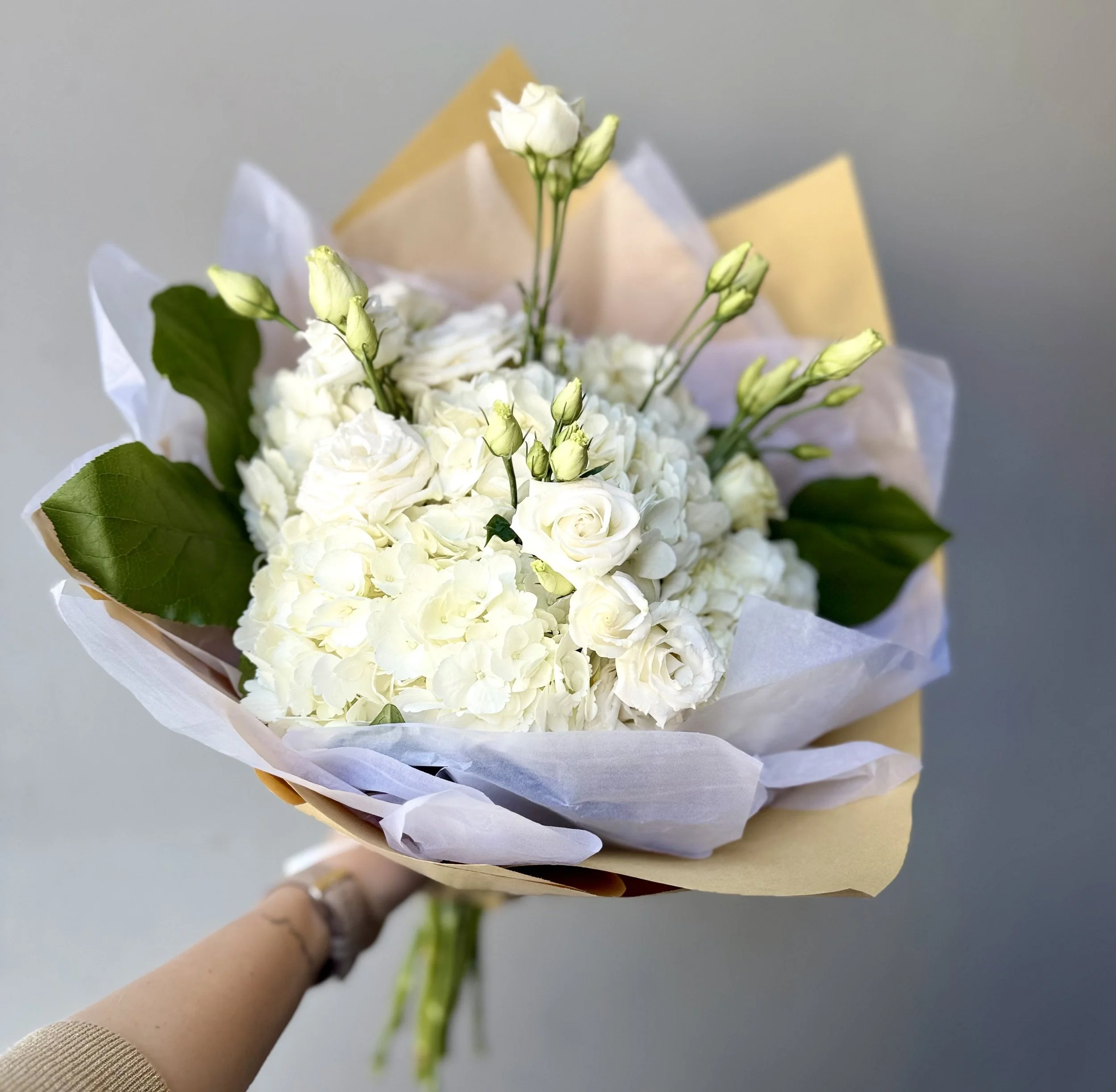 Gammage Exclusive White Beauty