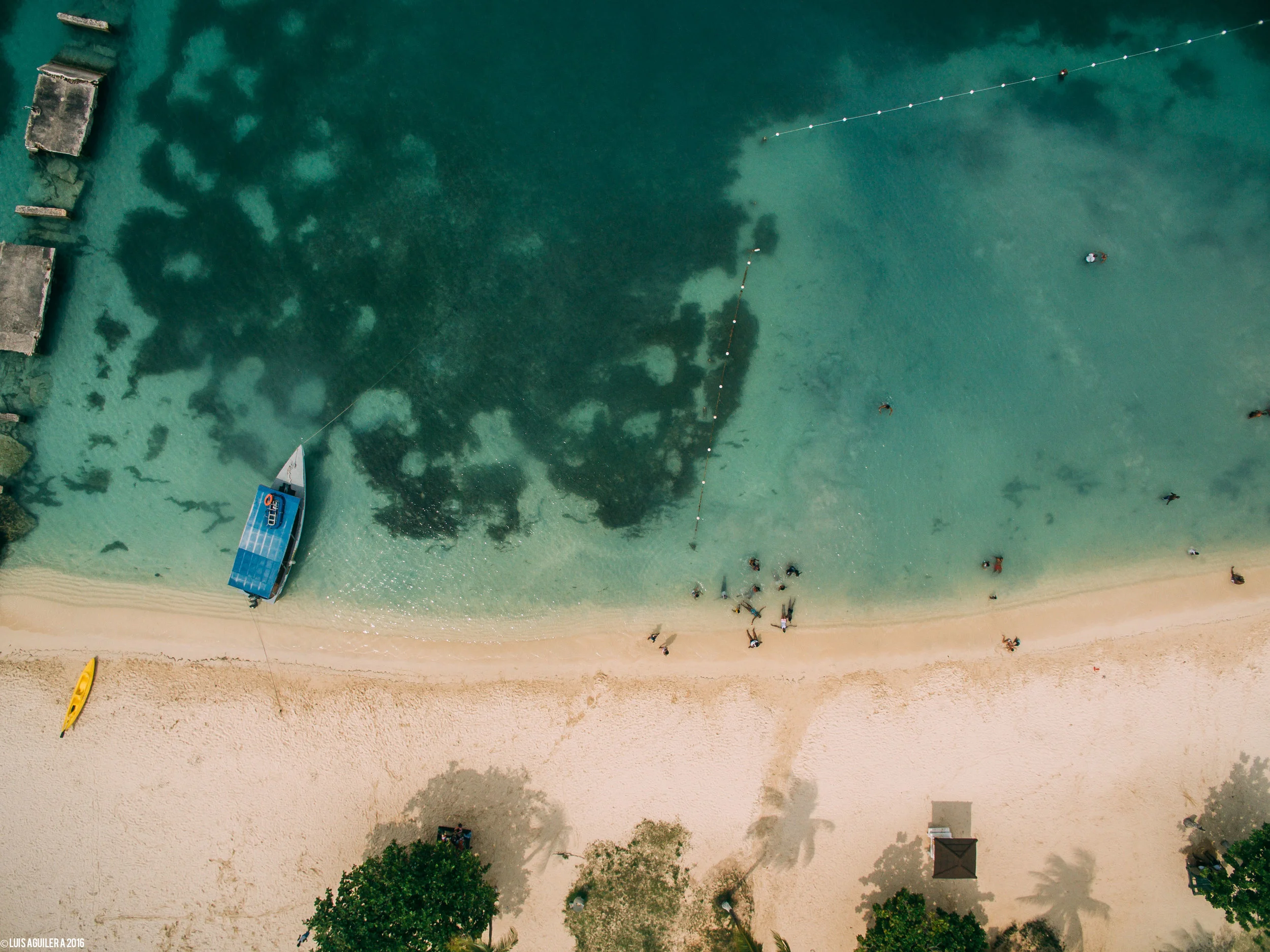 Ochi rios Swimmers