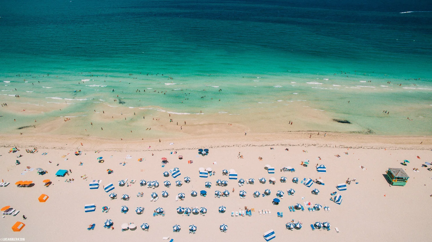 South Beach Blue Umbrellas Panorama