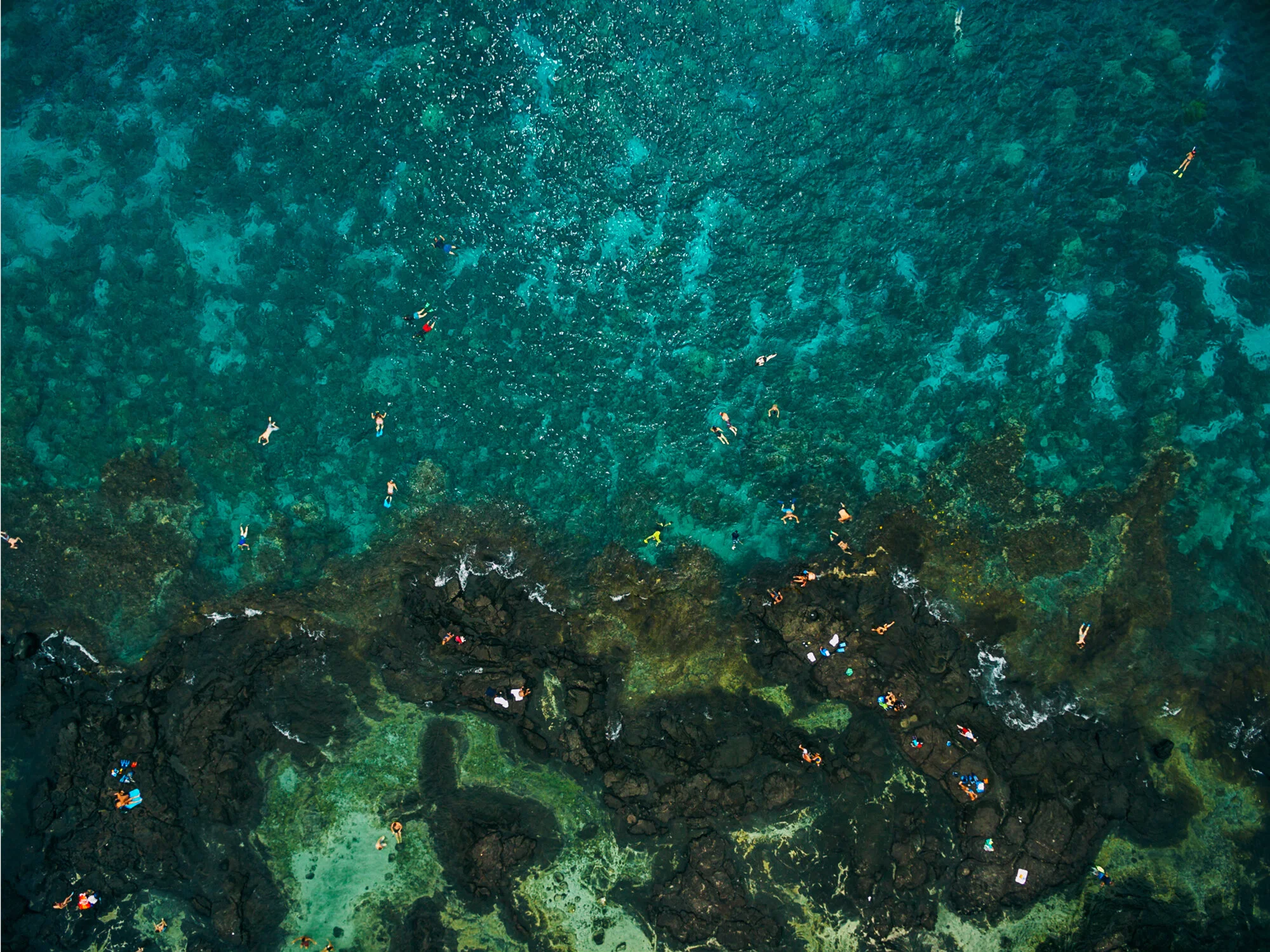 two-step-reef2.jpg