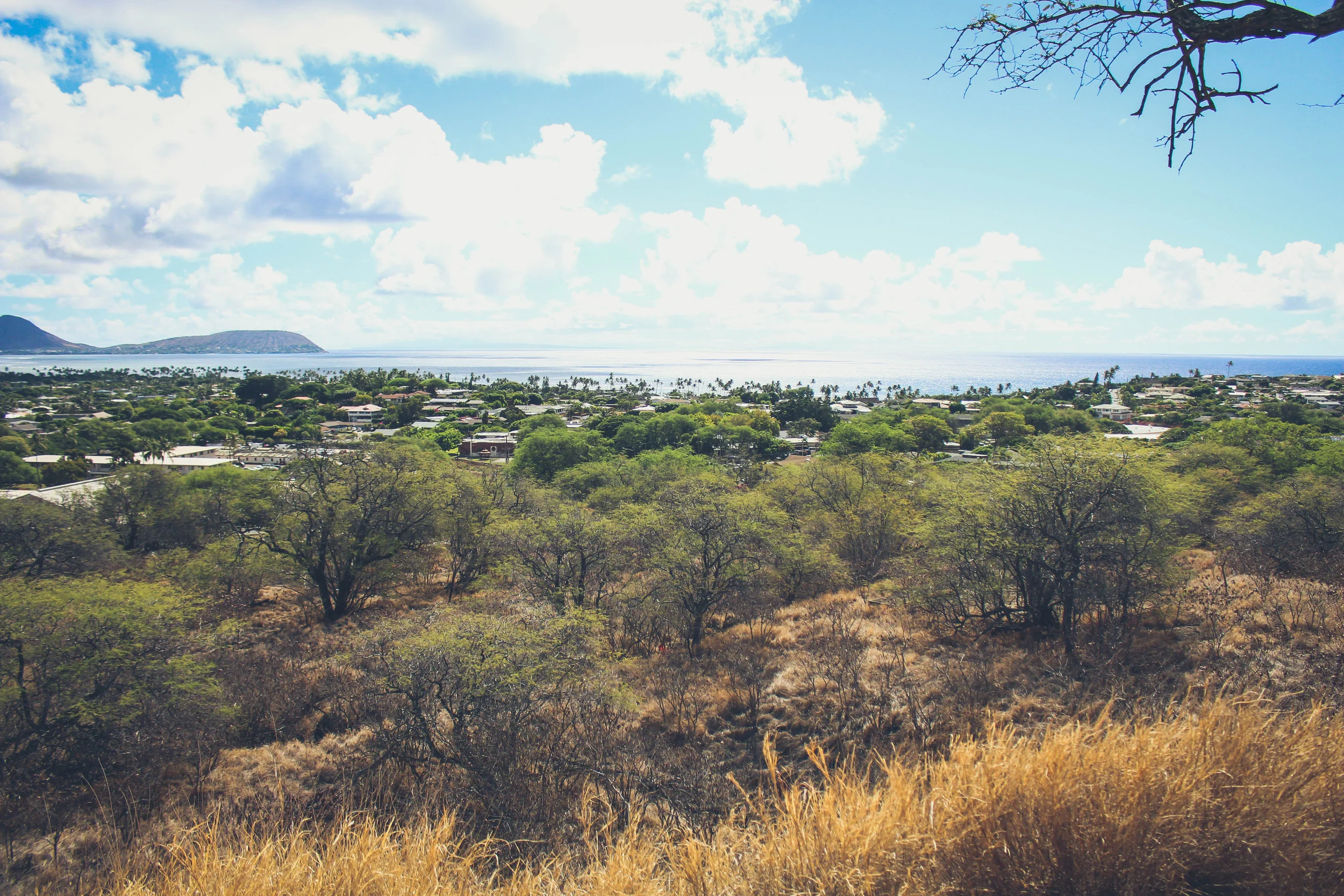 Friend of a Friend Diamondhead 4_.jpg