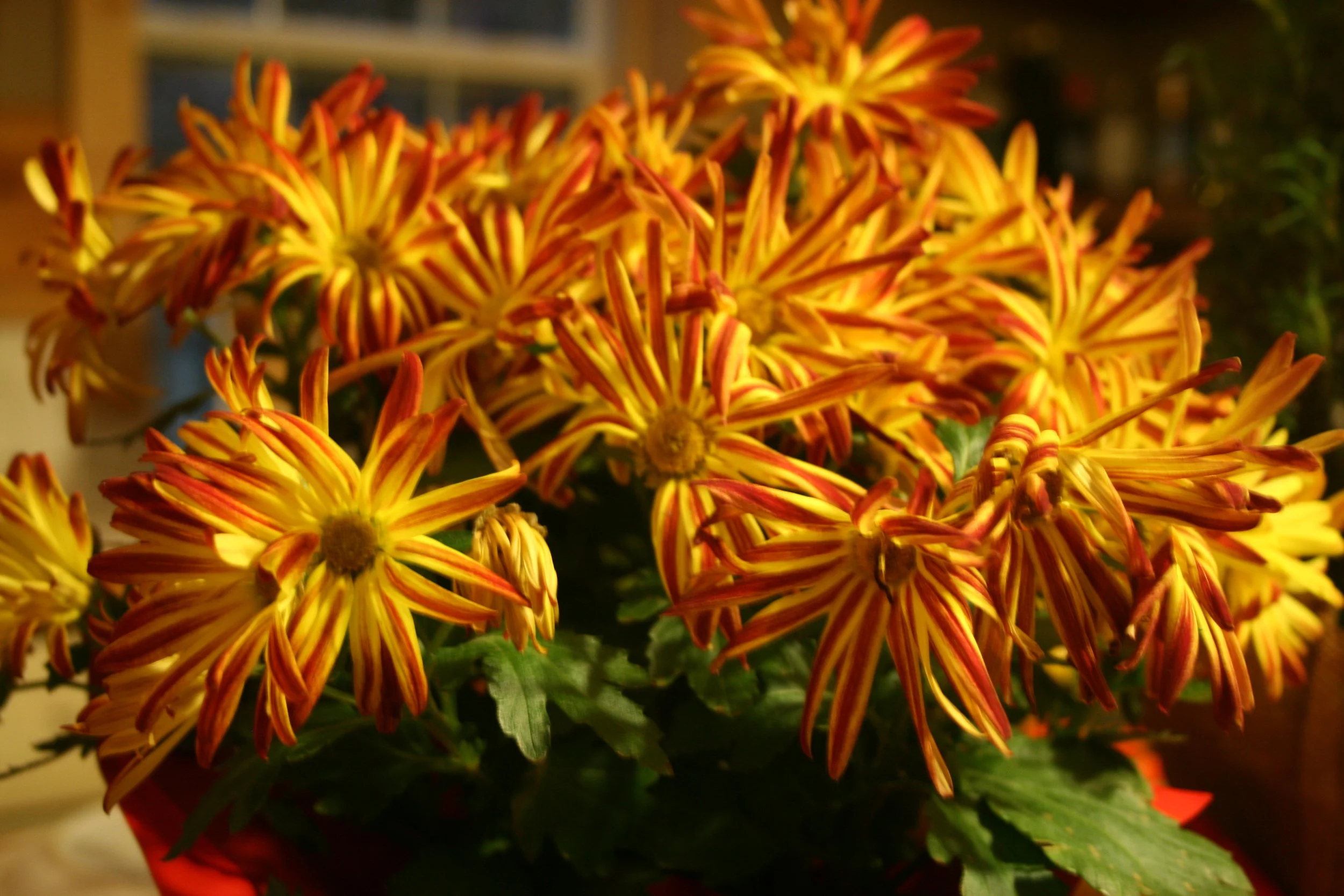 We all don't look good