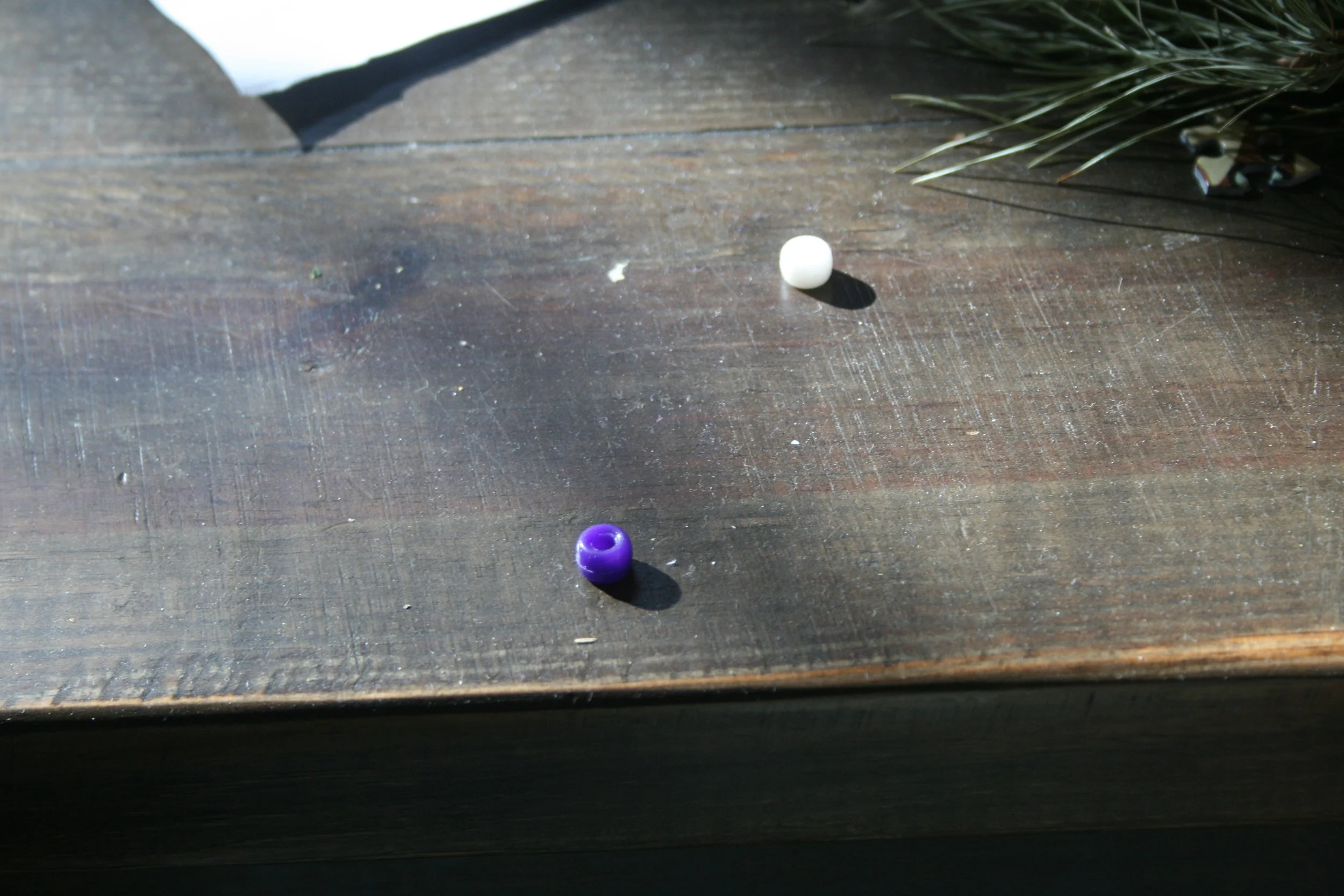 Religion Food Preference