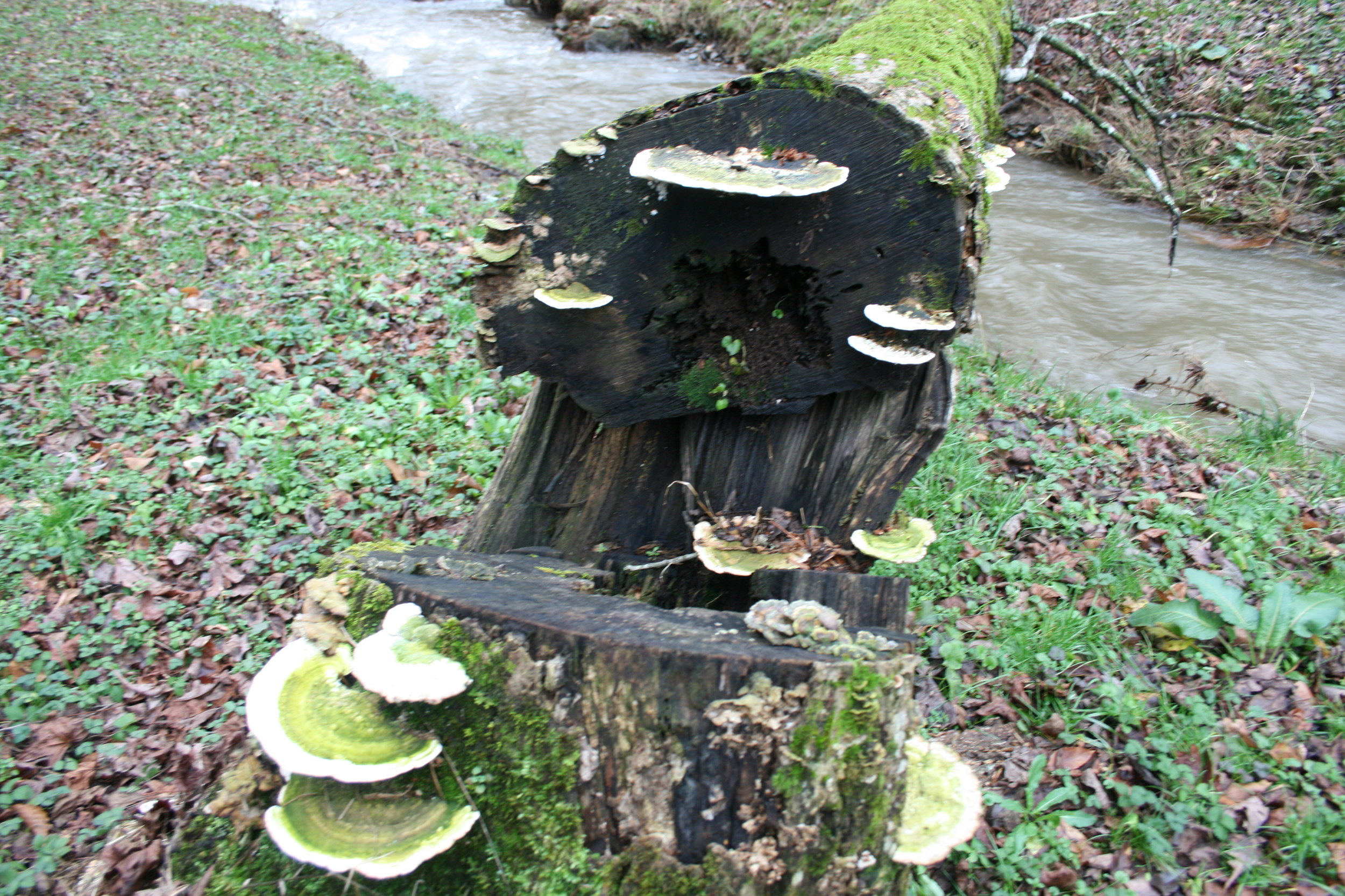 Over think Under think