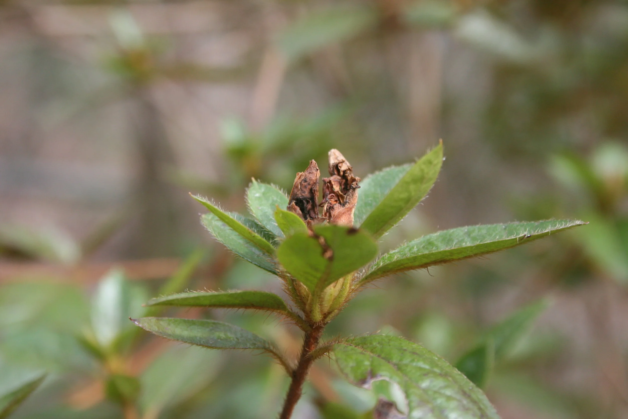 Business Life Personal Life