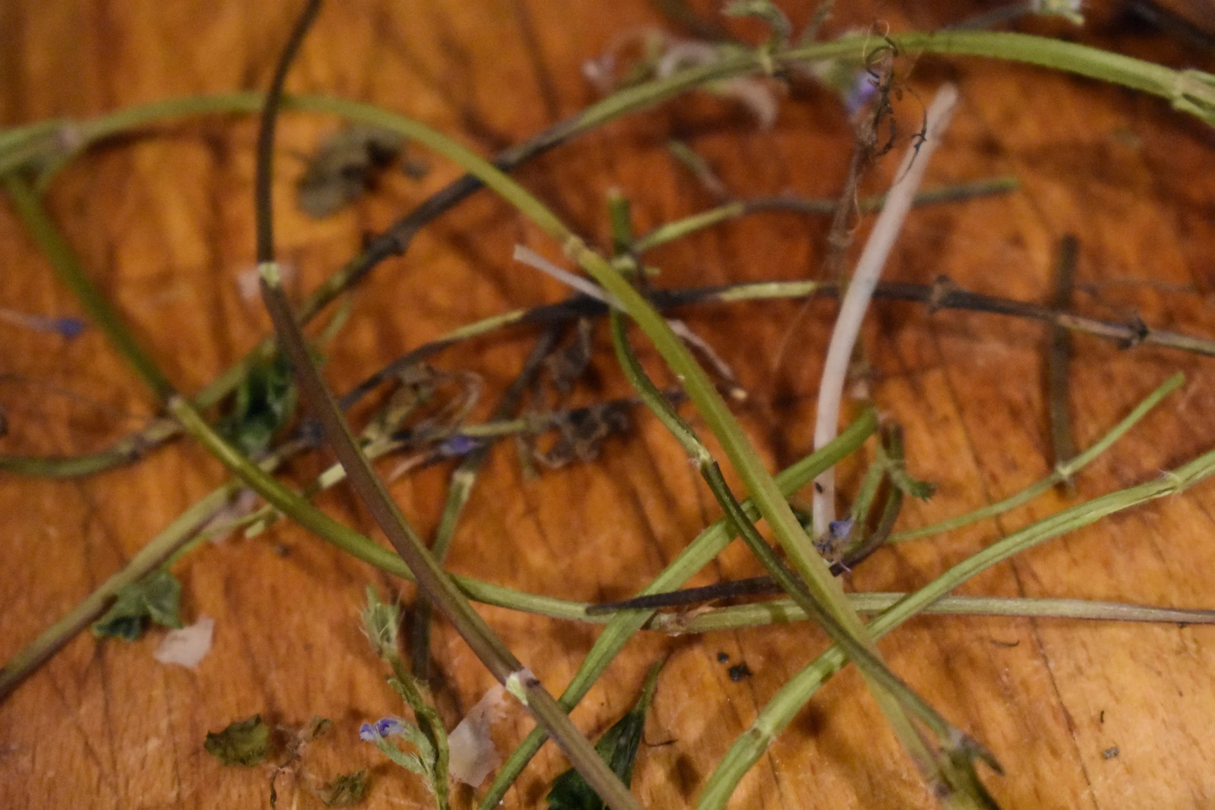 Don't take it Personally