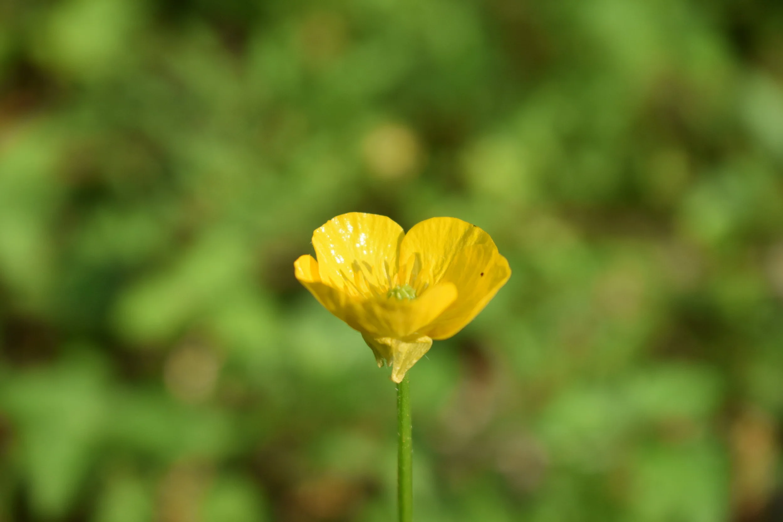 All the way through the sleeve