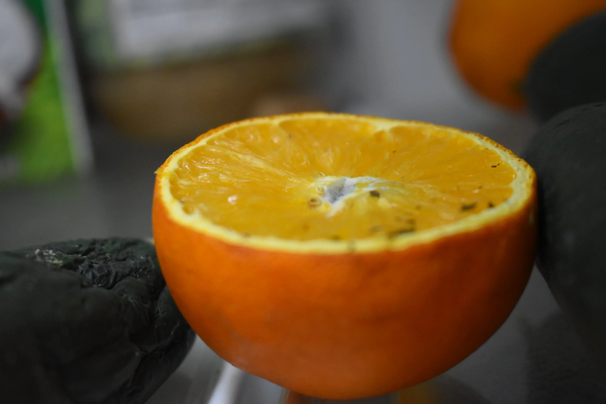 Too many Yes' and too many No's