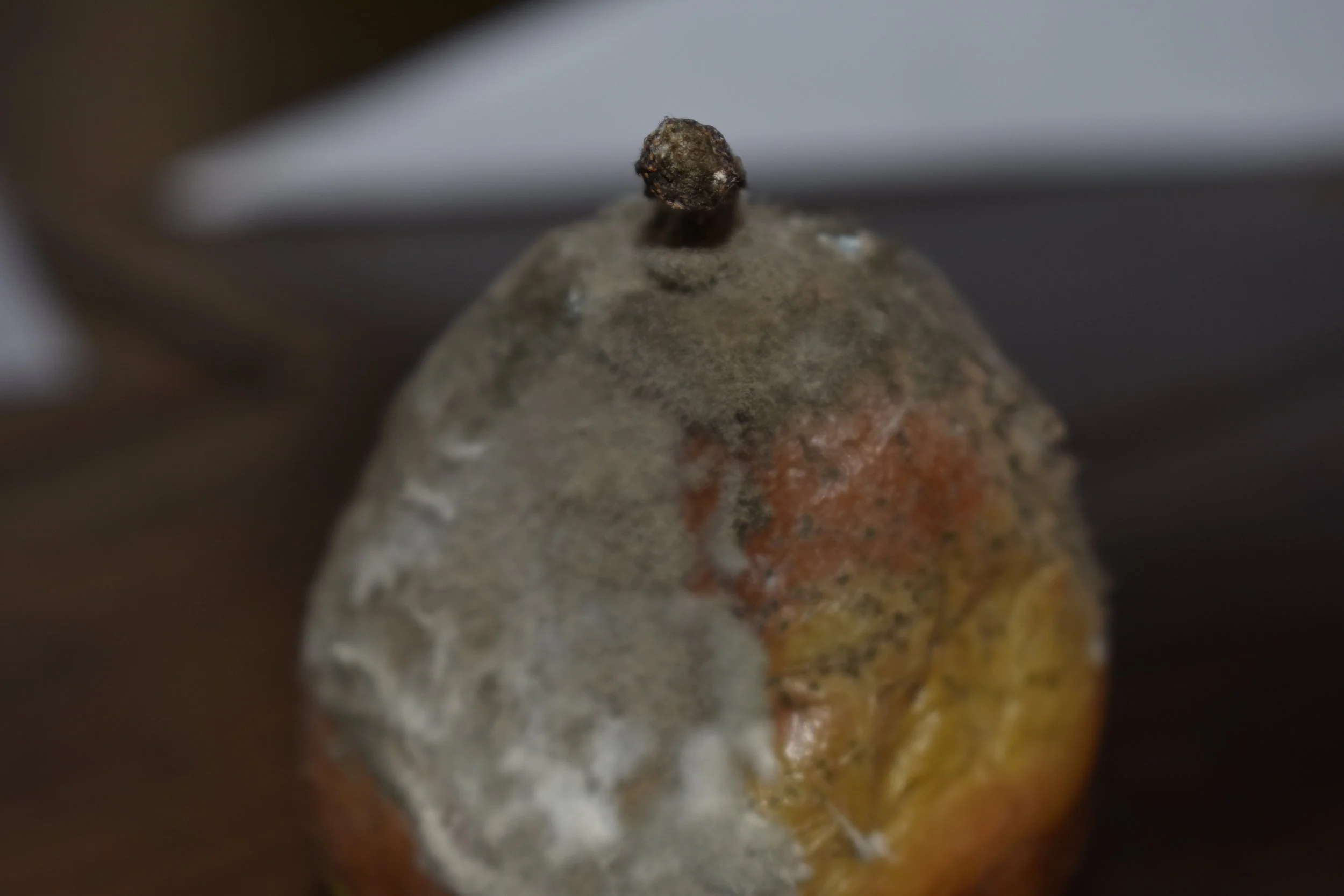 What Do You Think of Surrender