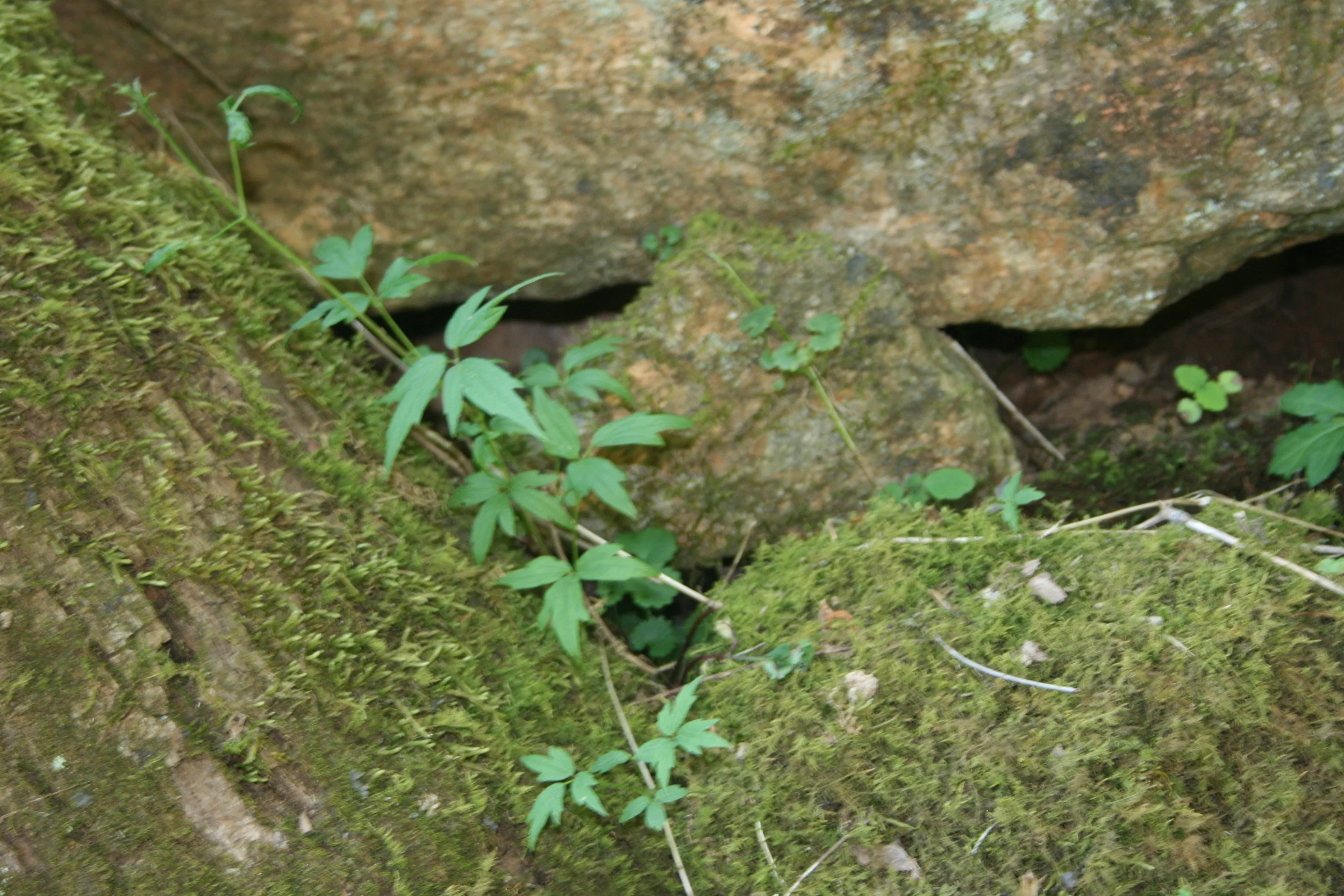 When You Want to Hold On