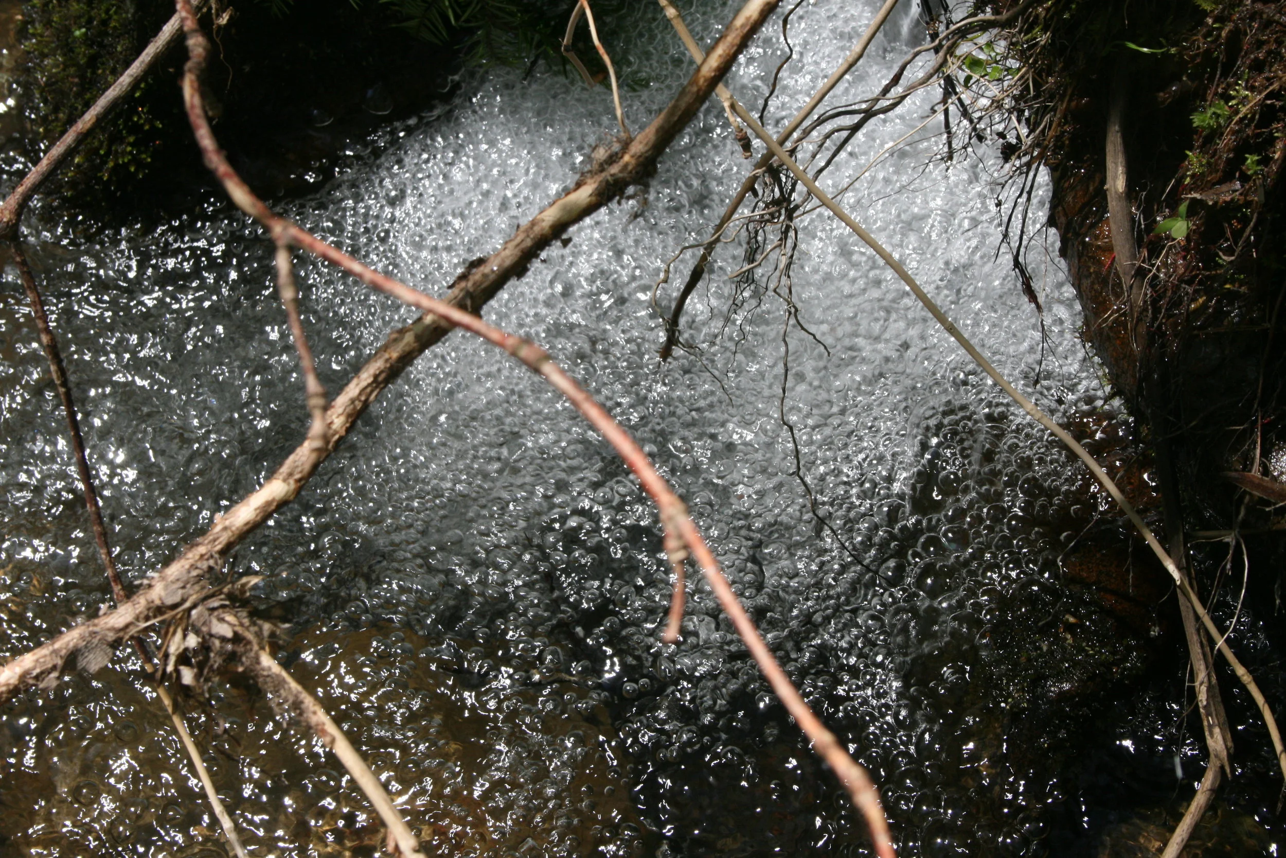 Stripped of Finishes