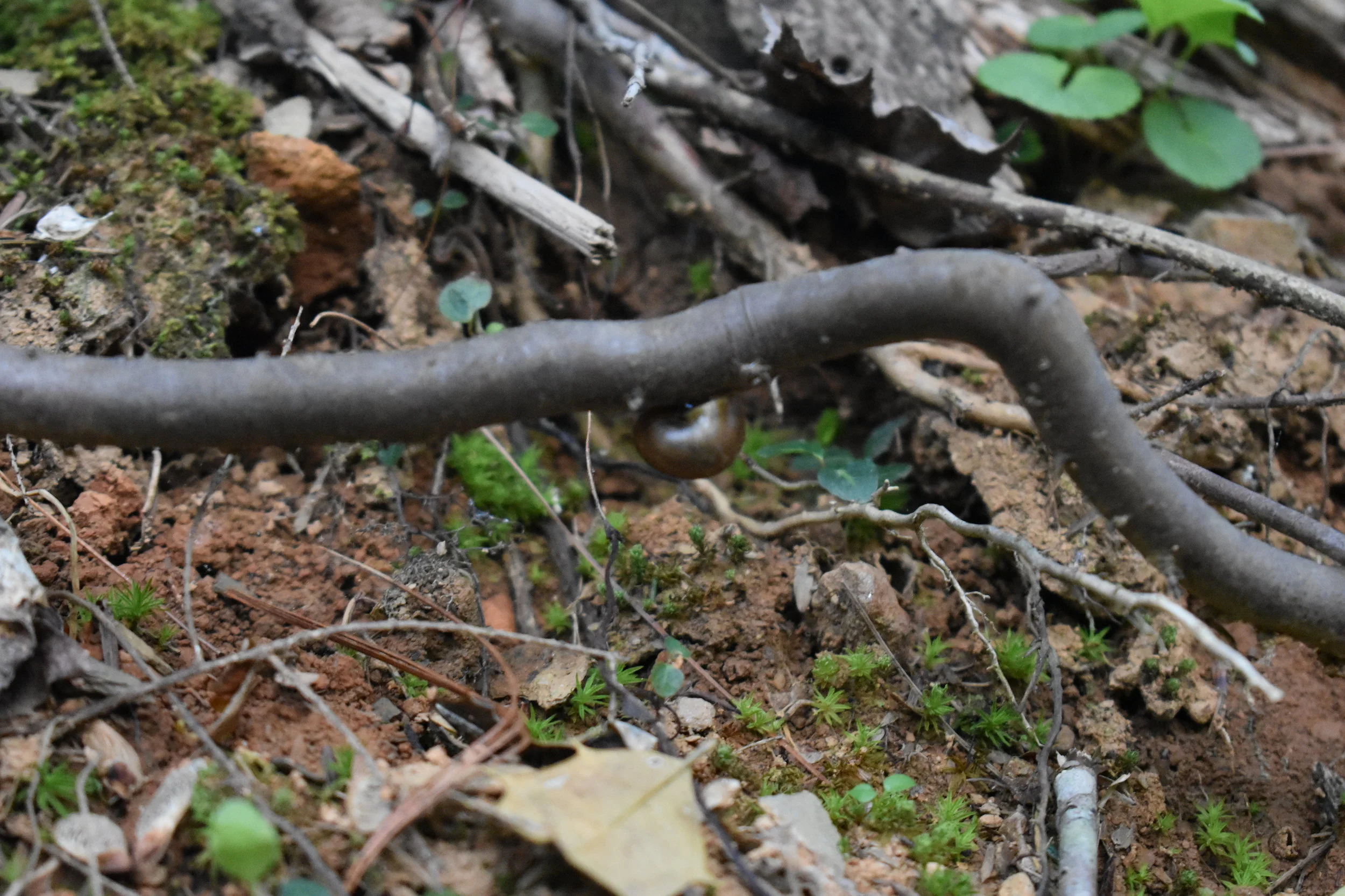 Depth of Connection-What is addiction anyway?